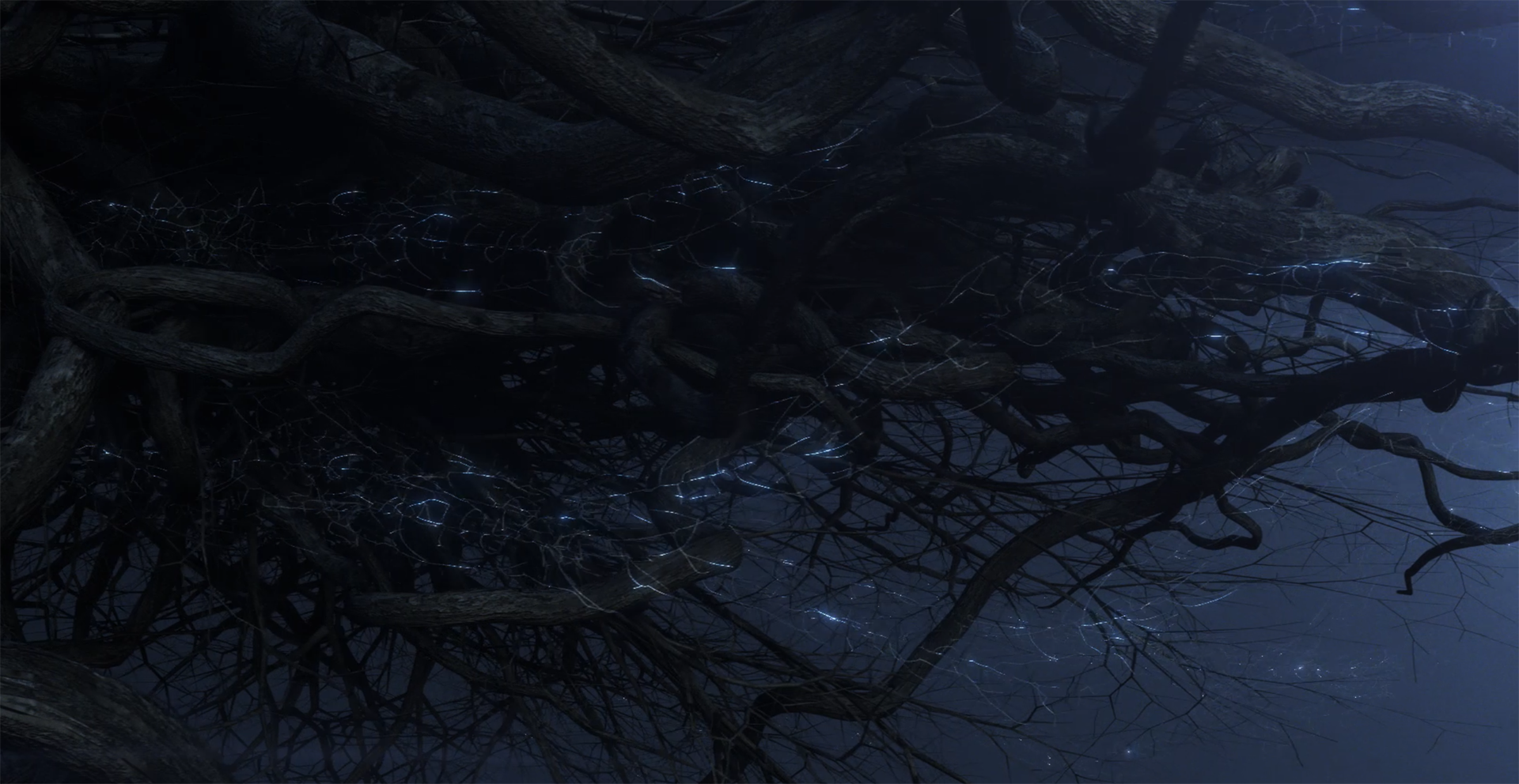 Layer 21.png