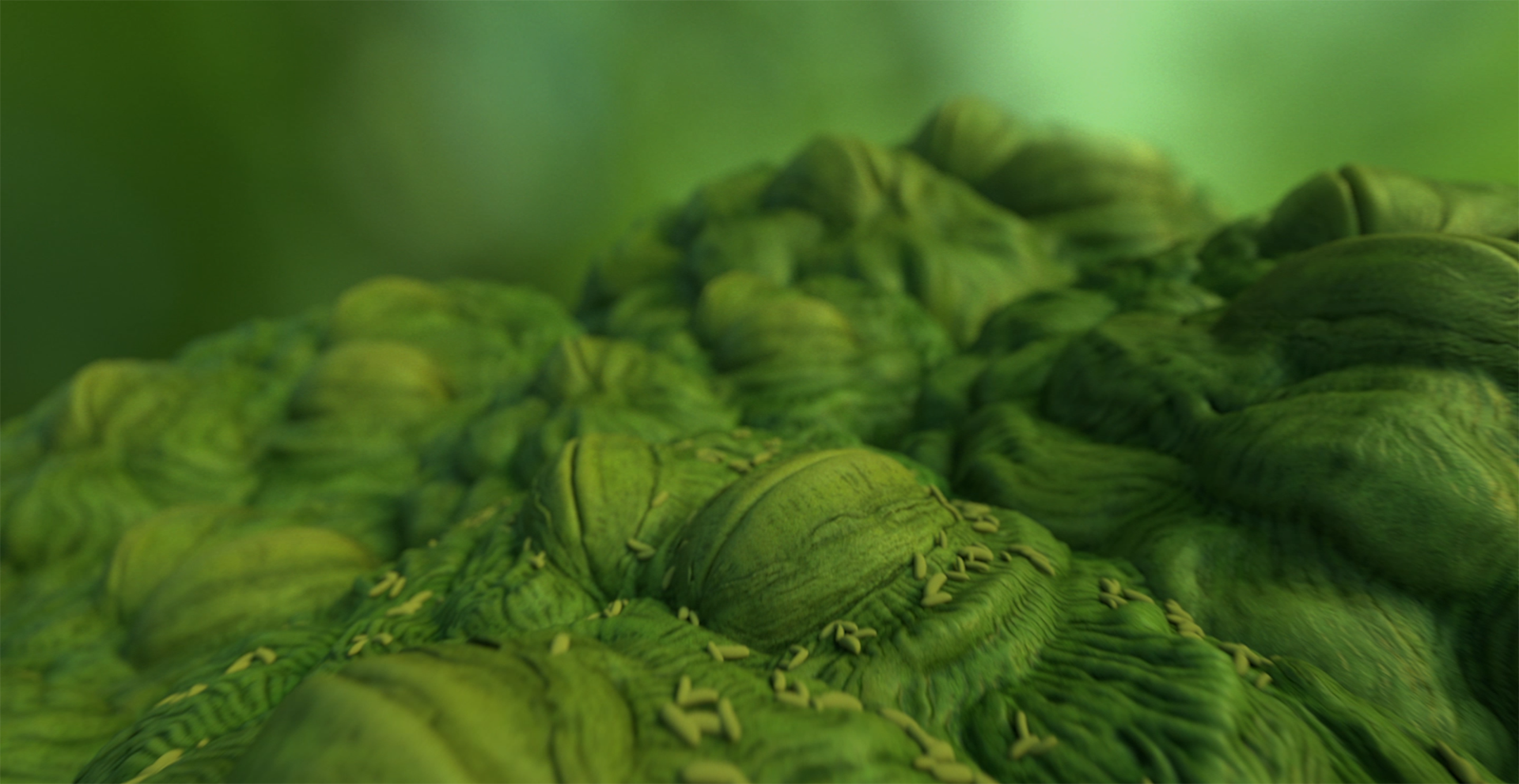 Layer 3.png