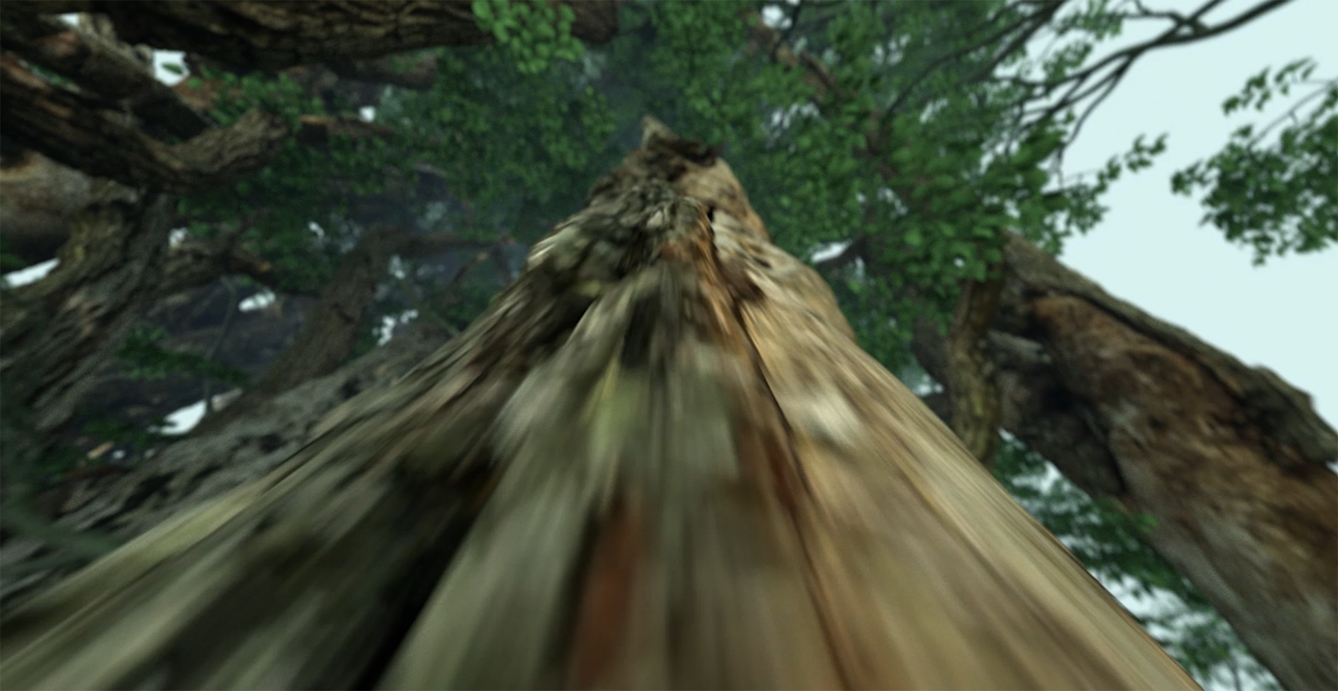 Layer 5.png
