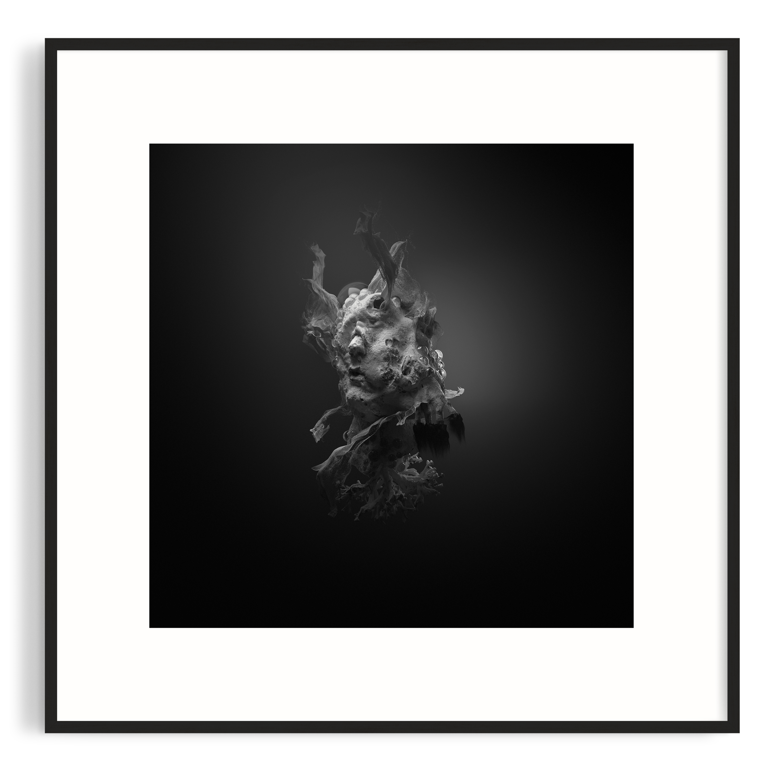 frame- theNative.png