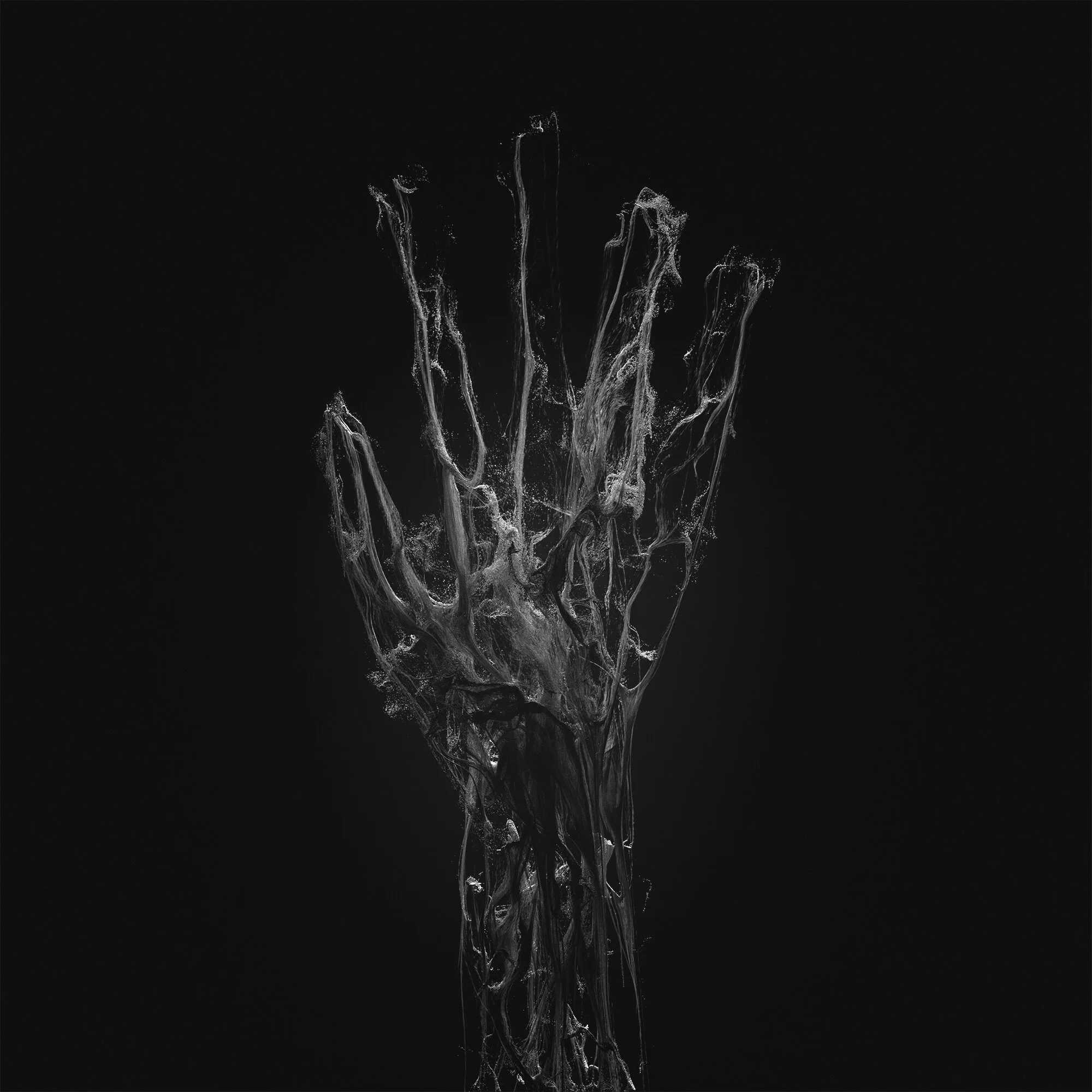 hand_v01.jpg