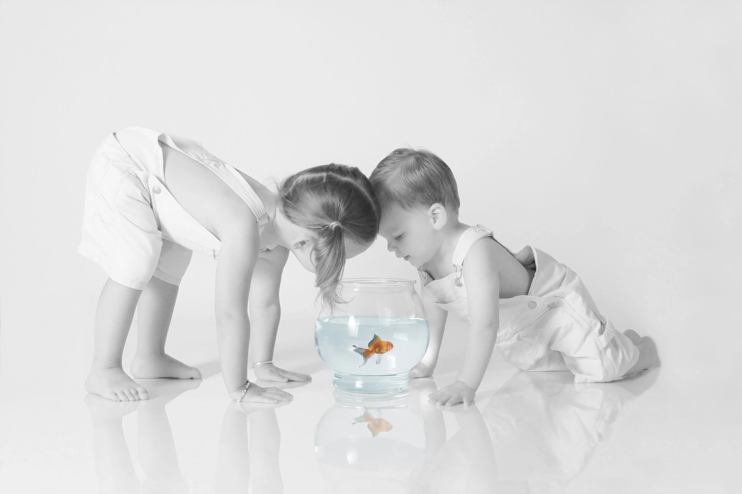 "Like my Poo Goes to Heaven?"