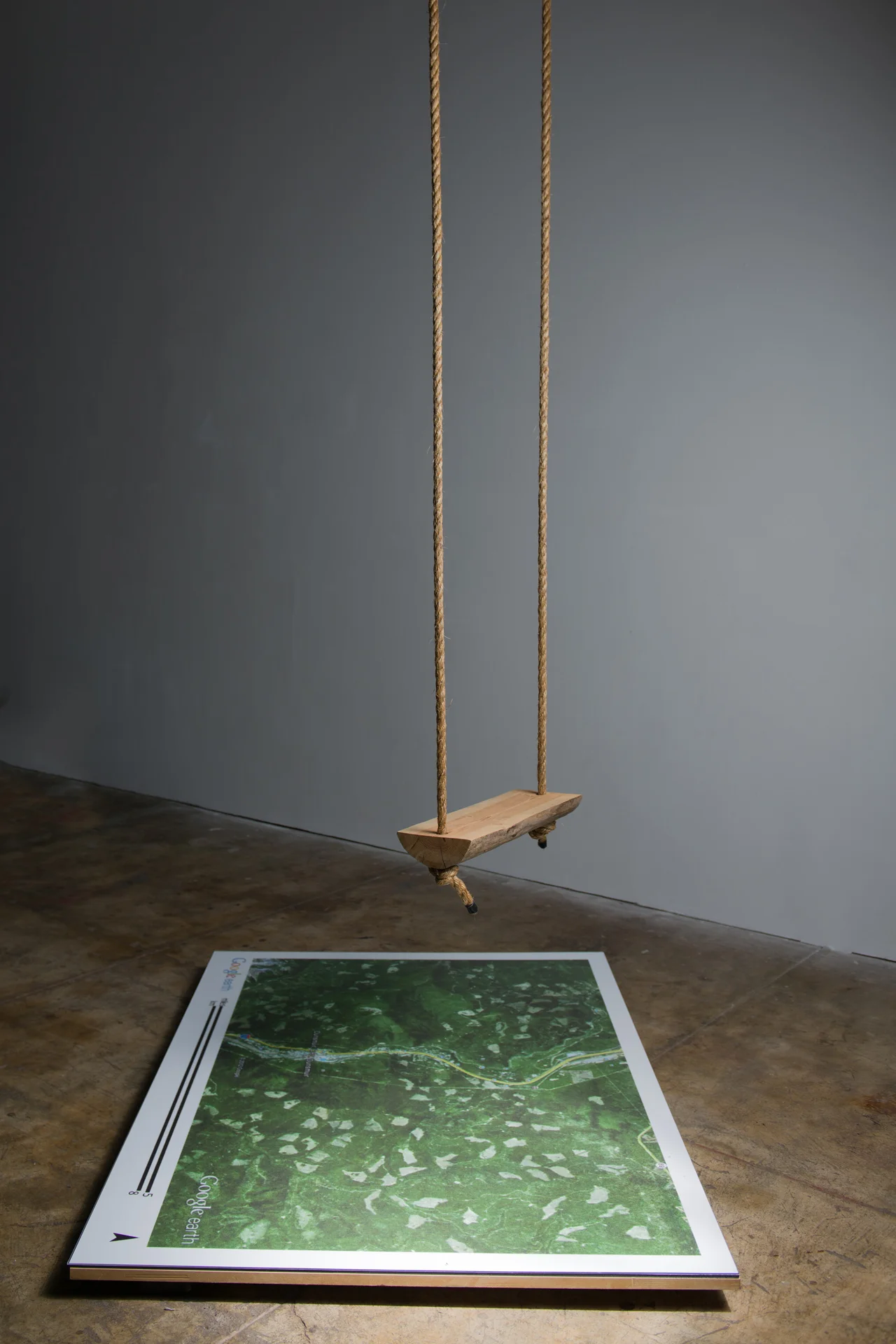 SwingTreeSwing_web2.jpg