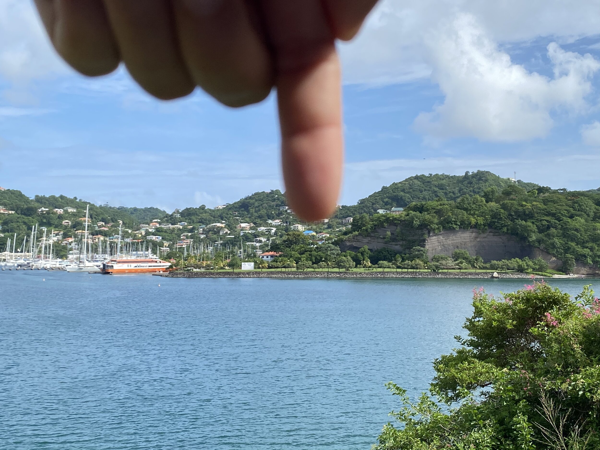 Living La Vida...Terra