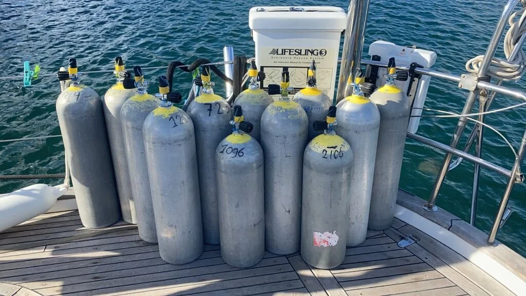 That moray is bigger than me!