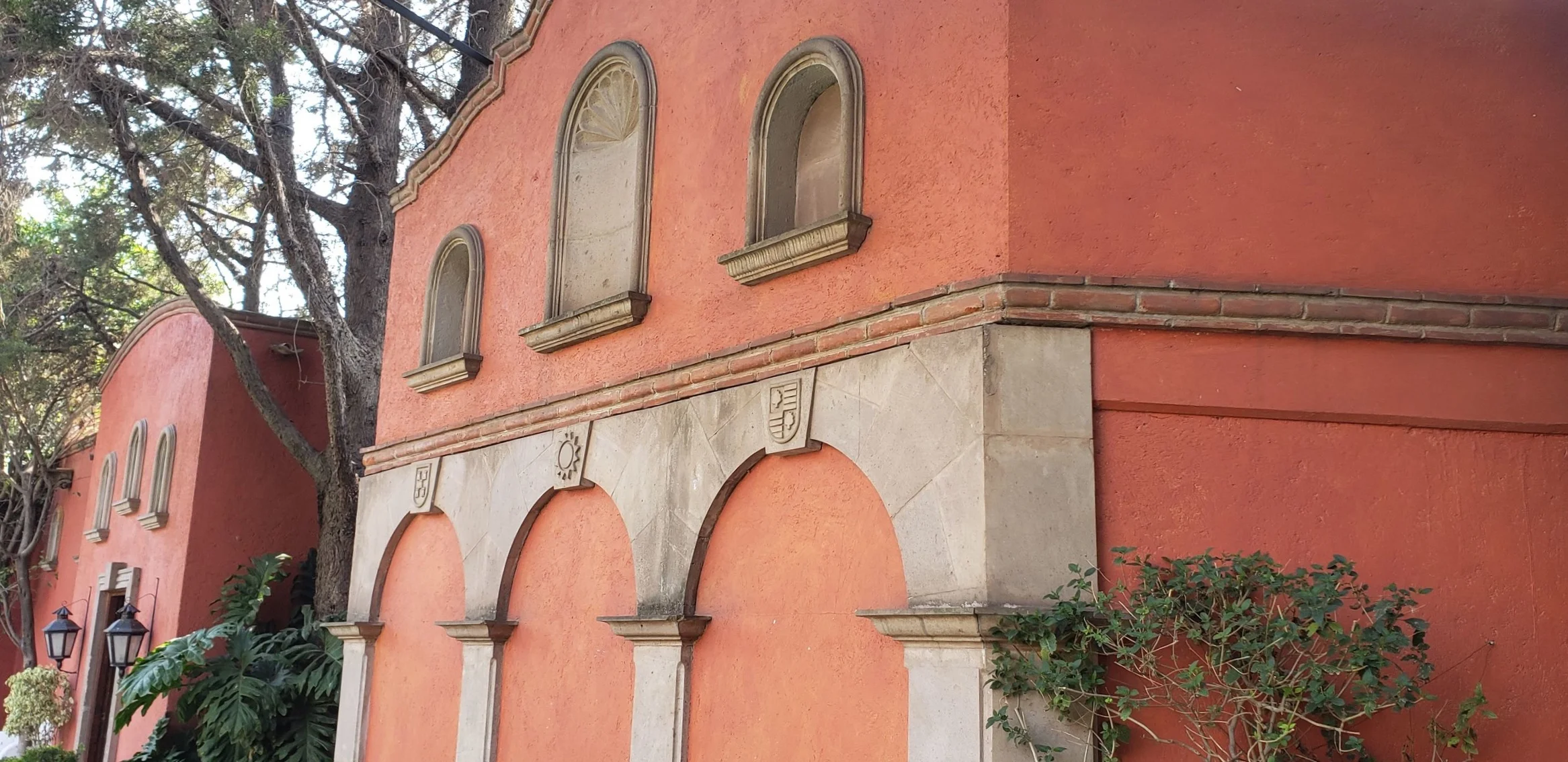 20190503_103145.jpg