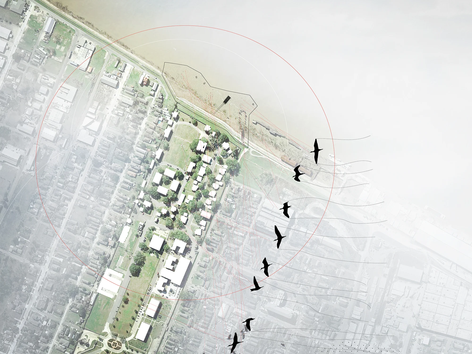 URBAN BIOTOPES