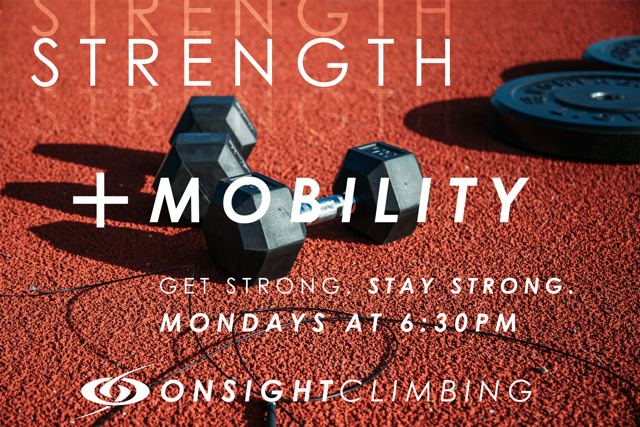 STRENGTH+MOBILITY_GRAPHIC_v2.jpg