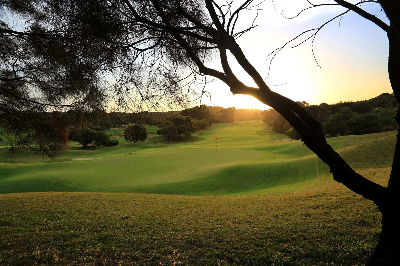 9th fairway.jpeg