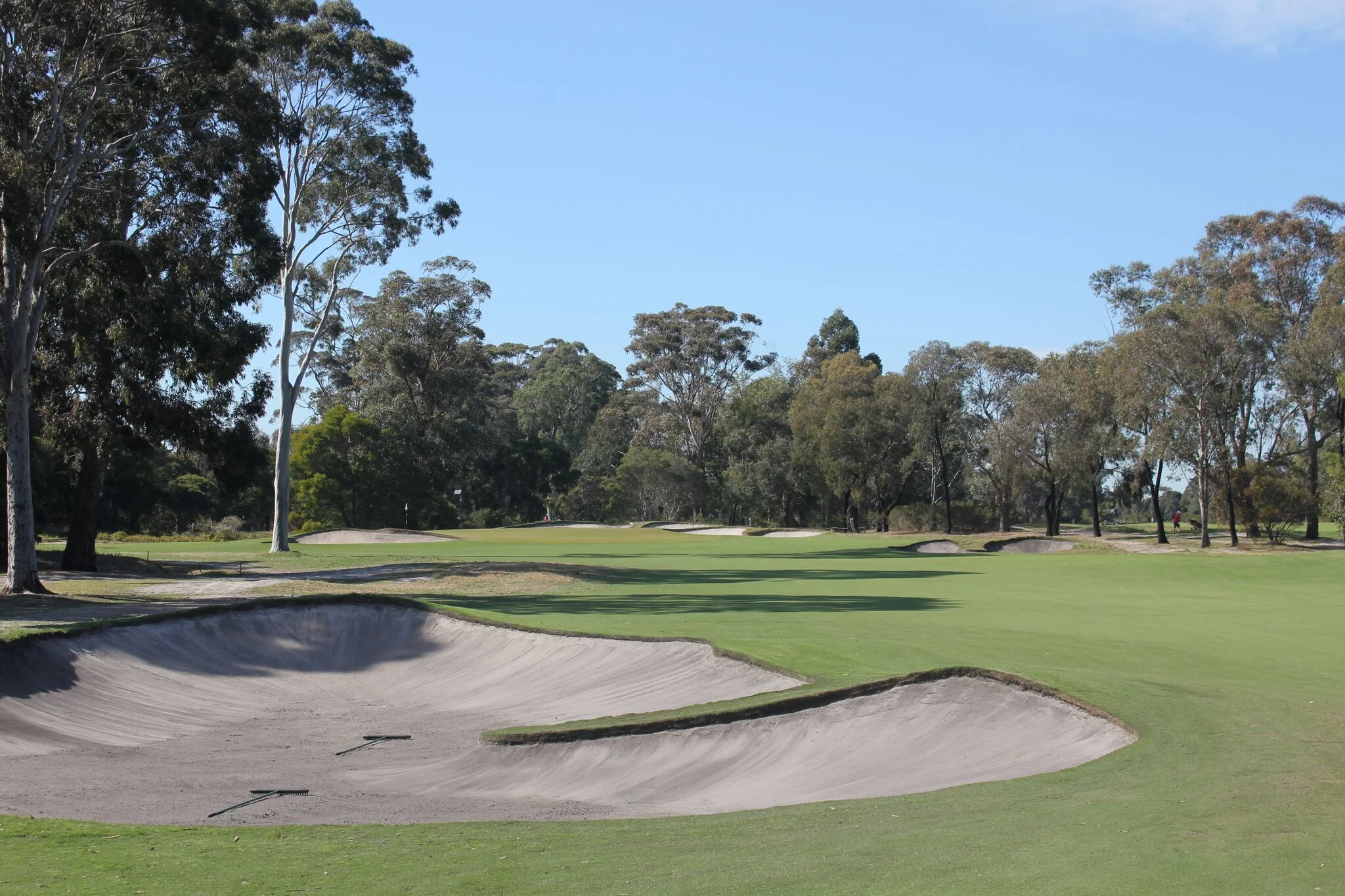 10th hole.jpeg