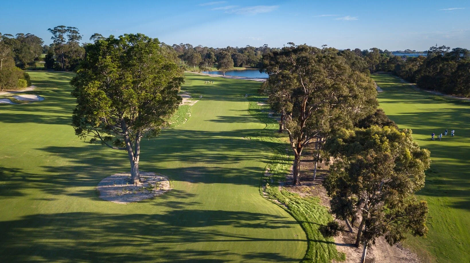 10th tee.jpeg