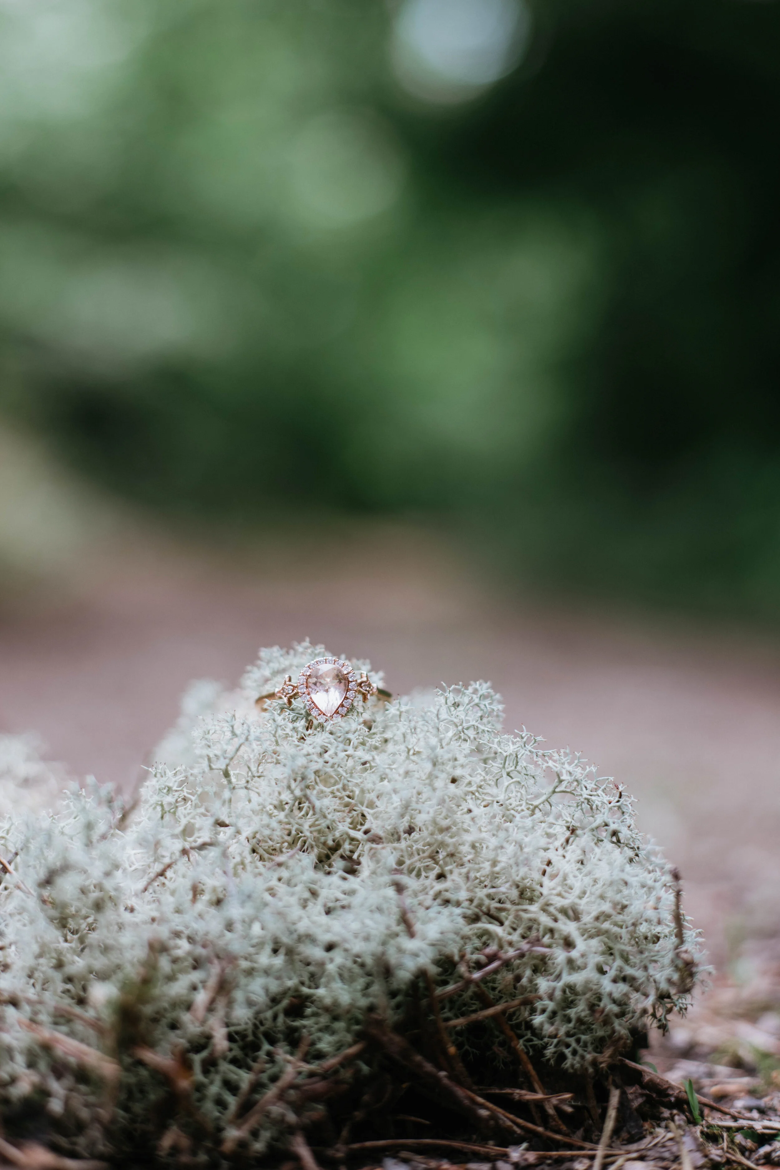 engagement (1 of 49).jpg