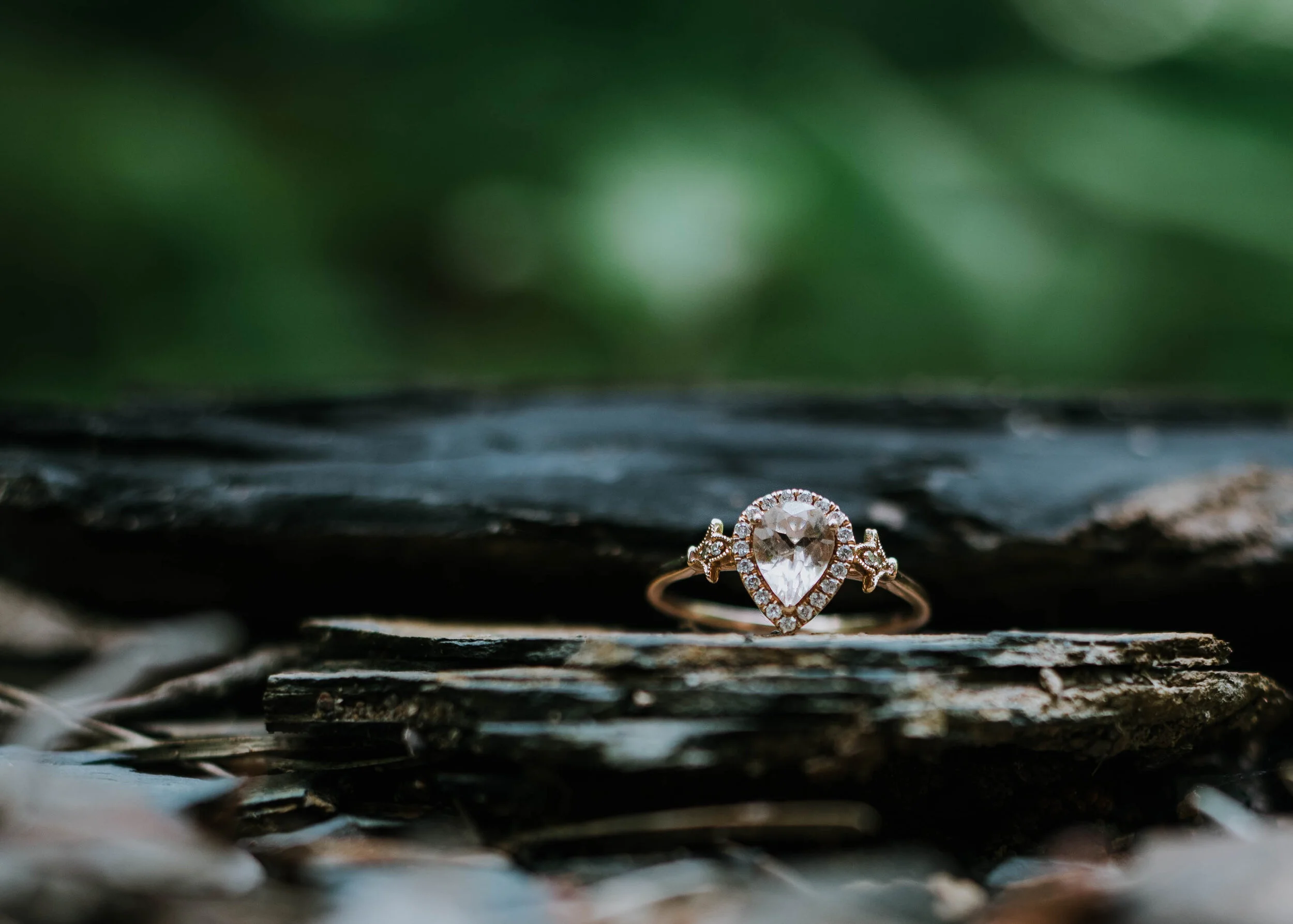 engagement (15 of 49).jpg