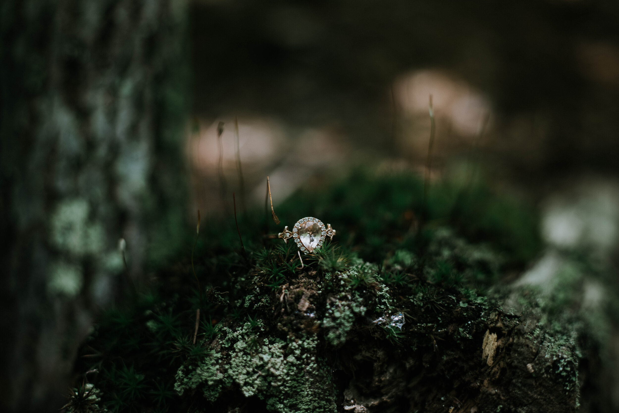 engagement (17 of 49).jpg