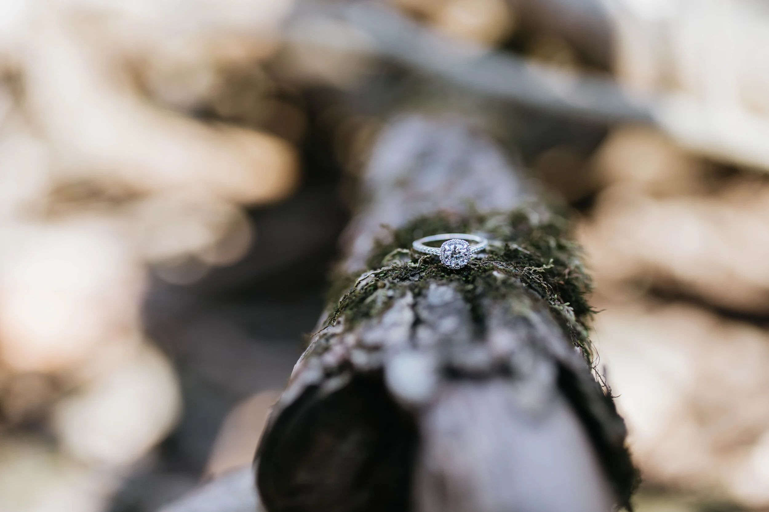 engagement (64 of 64).jpg