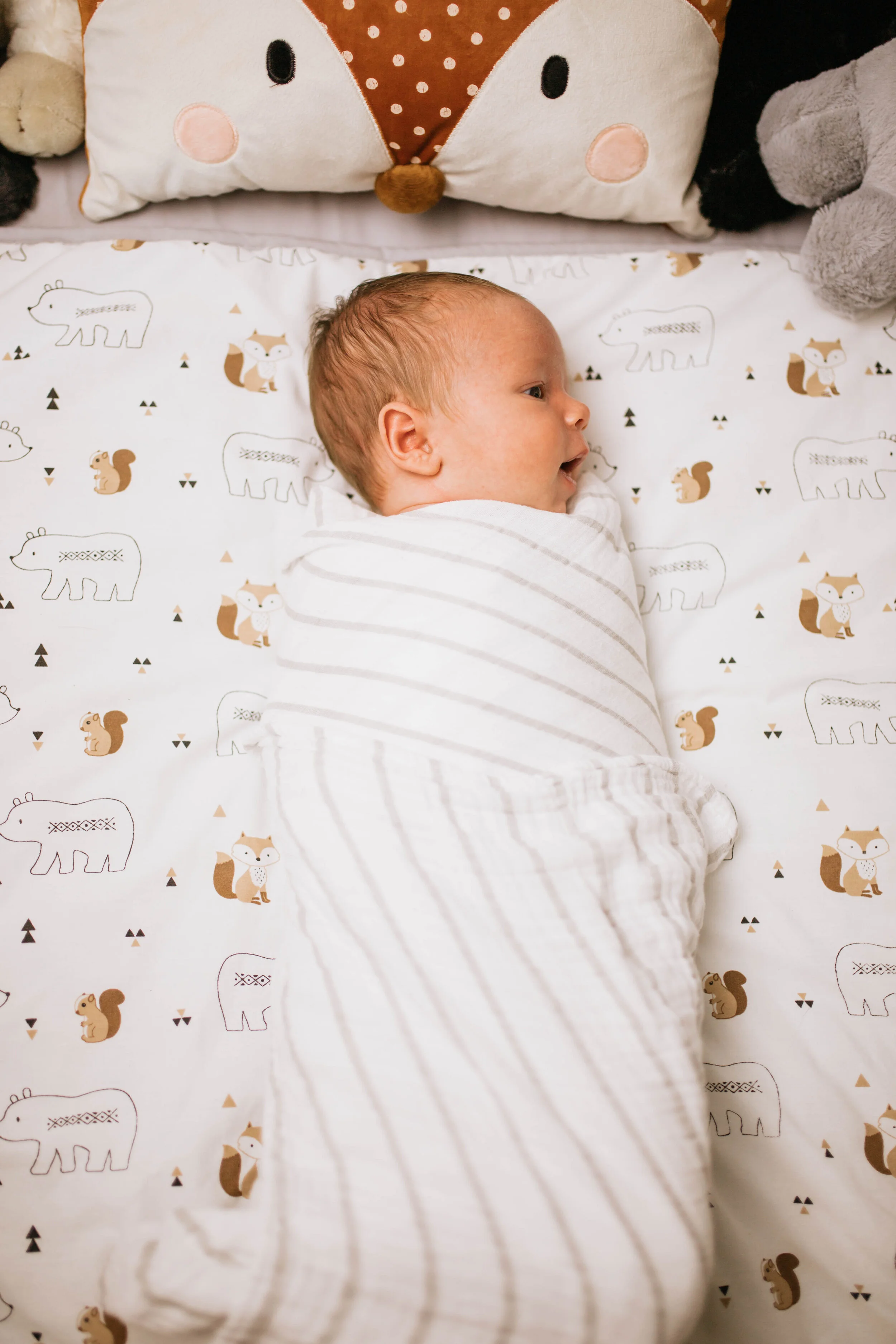 newborn (1 of 76).jpg