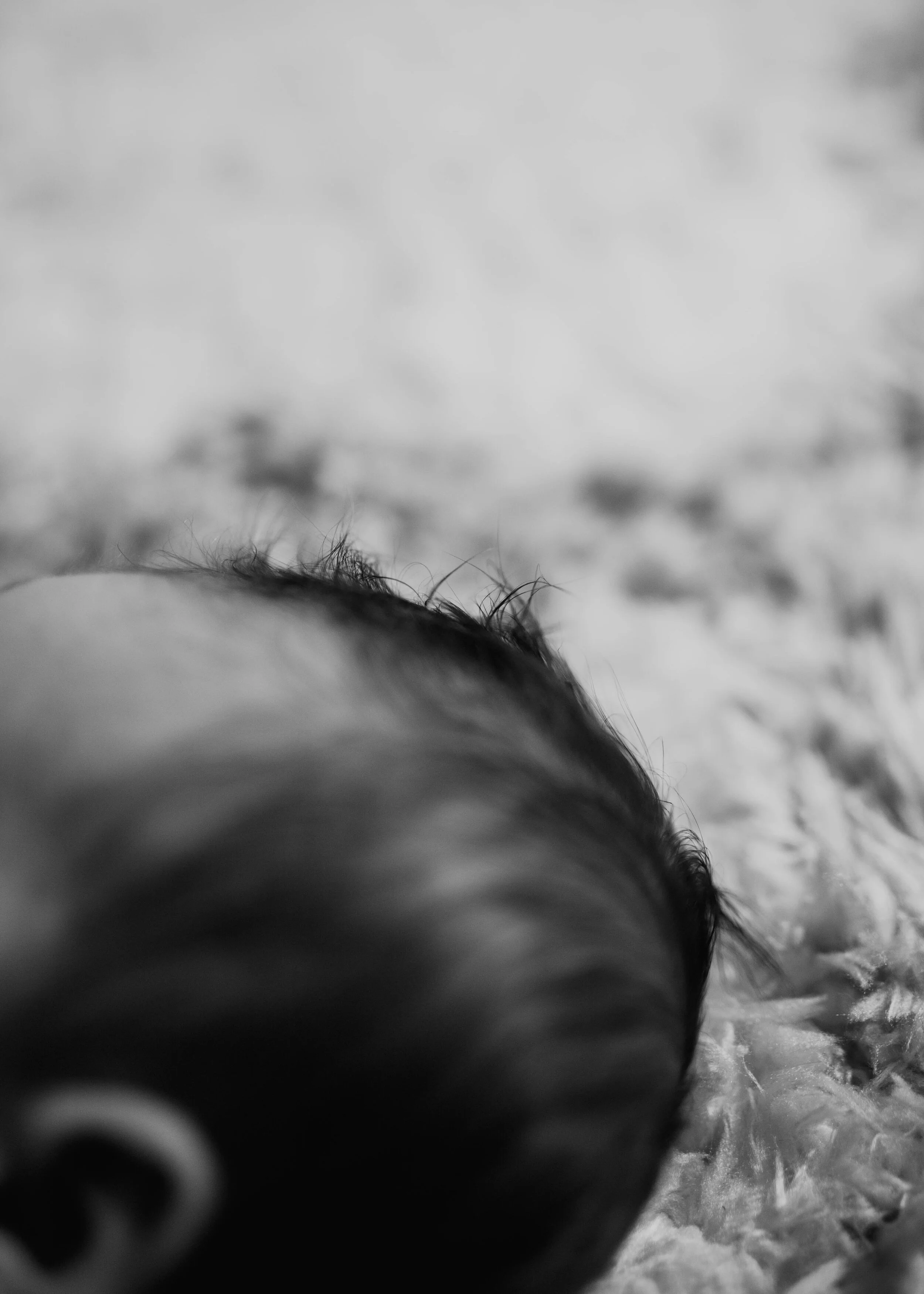 newborn (8 of 76).jpg