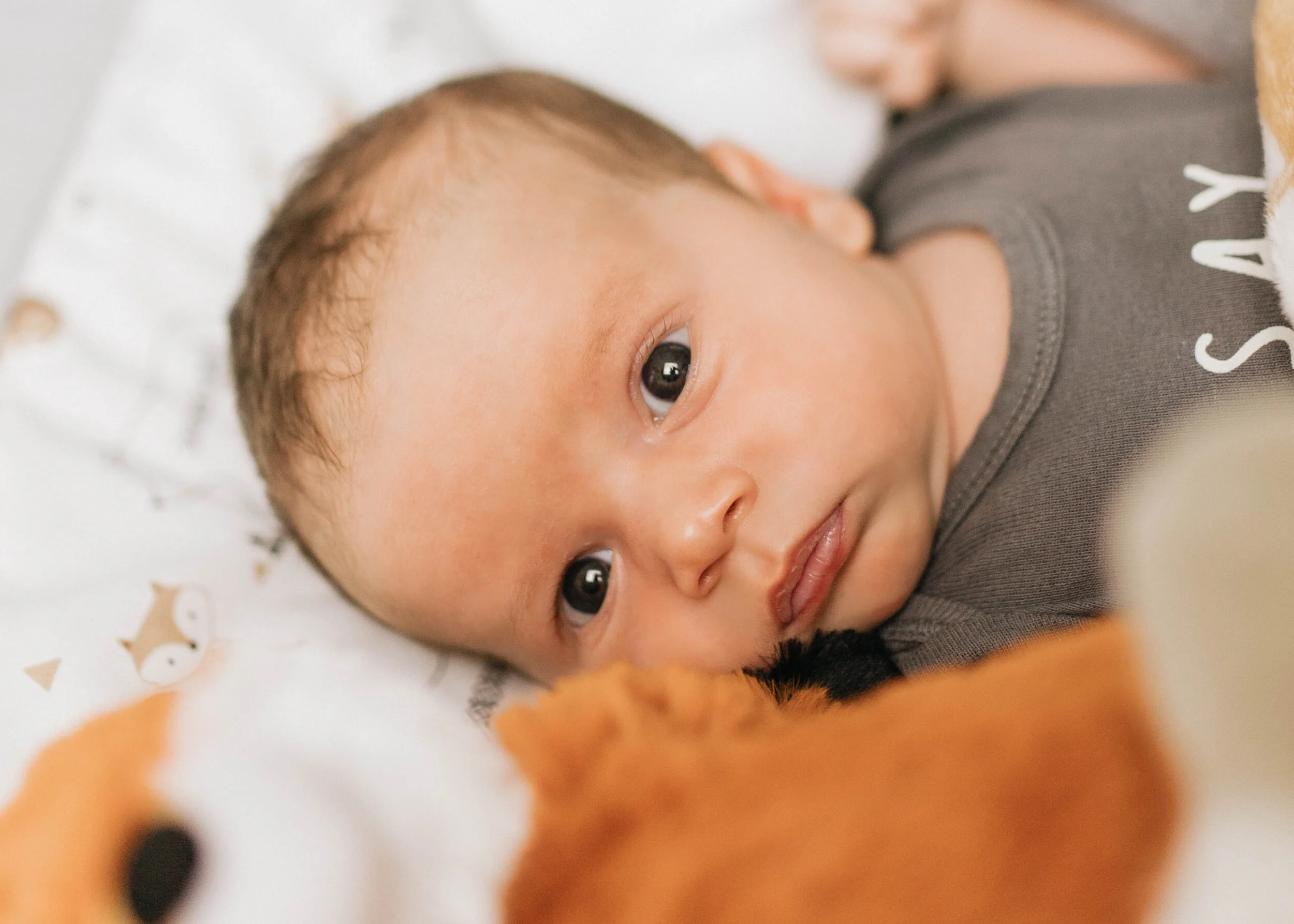 newborn (13 of 76).jpg
