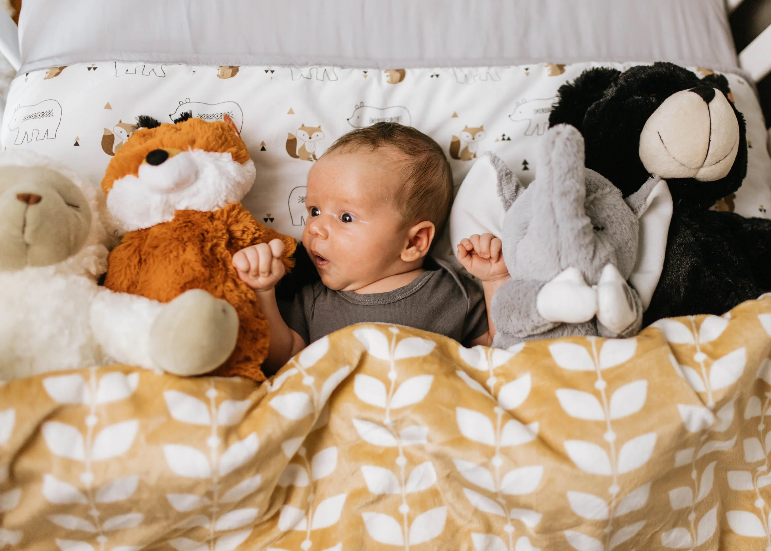 newborn (12 of 76).jpg