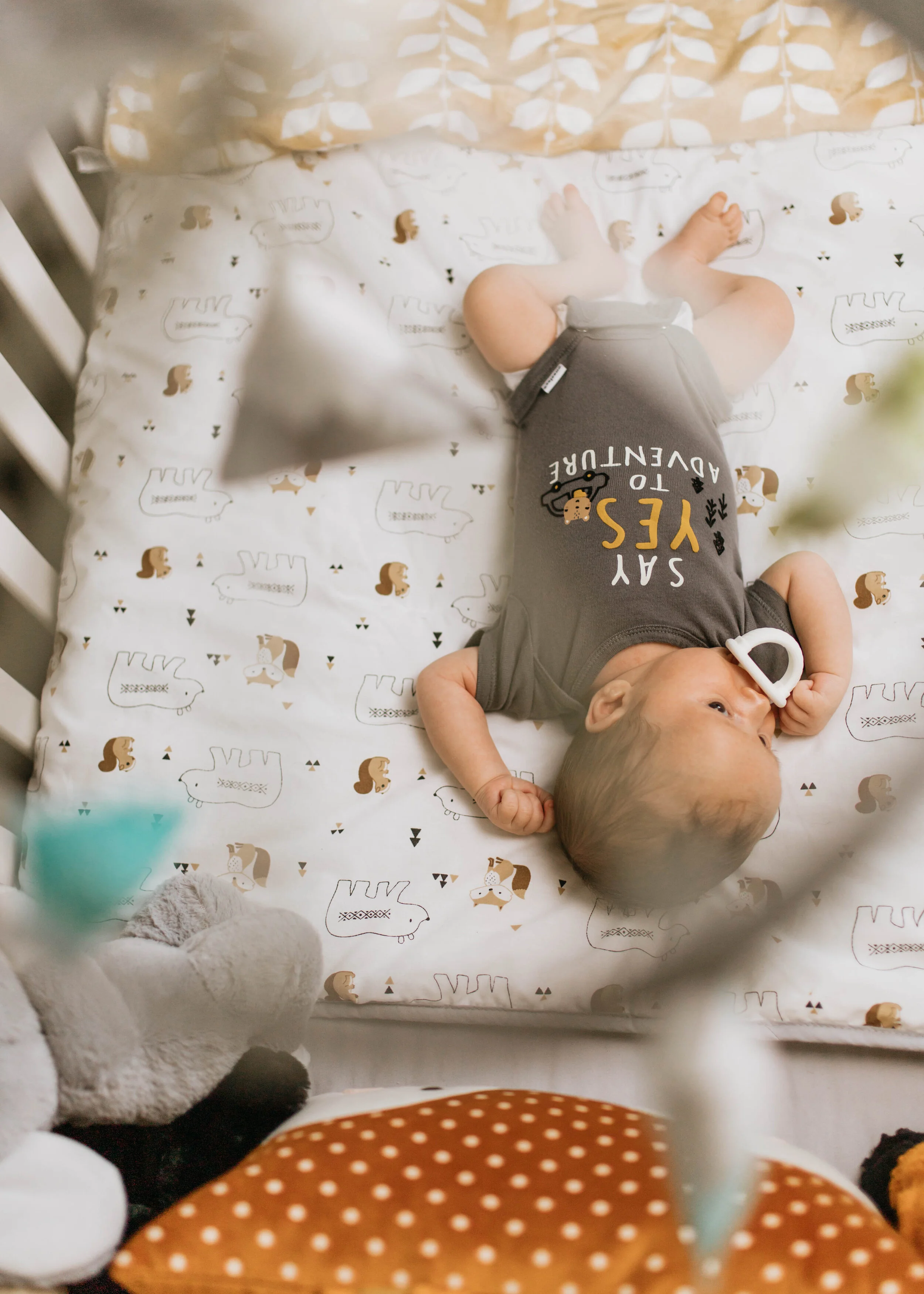 newborn (21 of 76).jpg