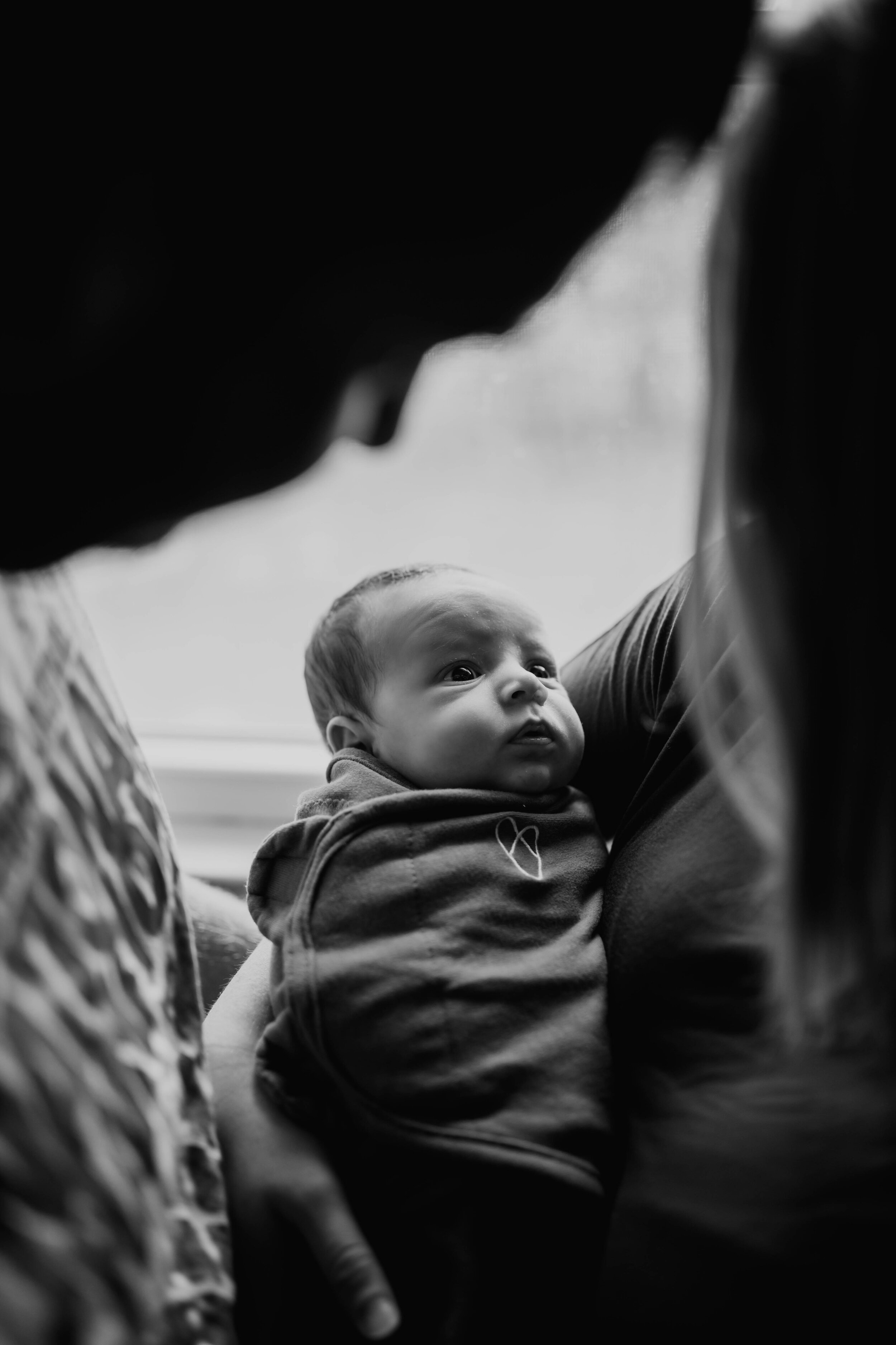 newborn (37 of 76).jpg