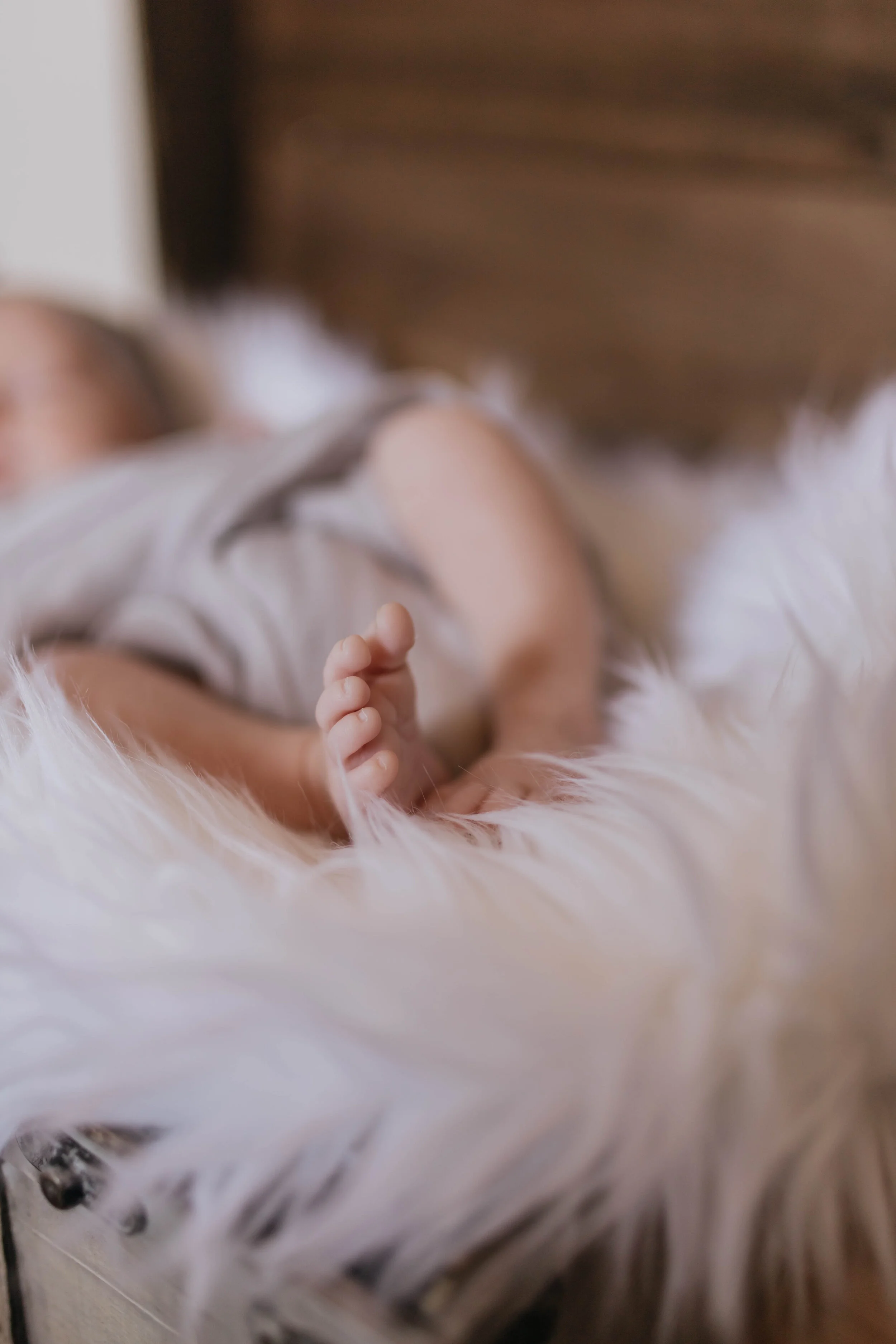 newborn (17 of 26).jpg