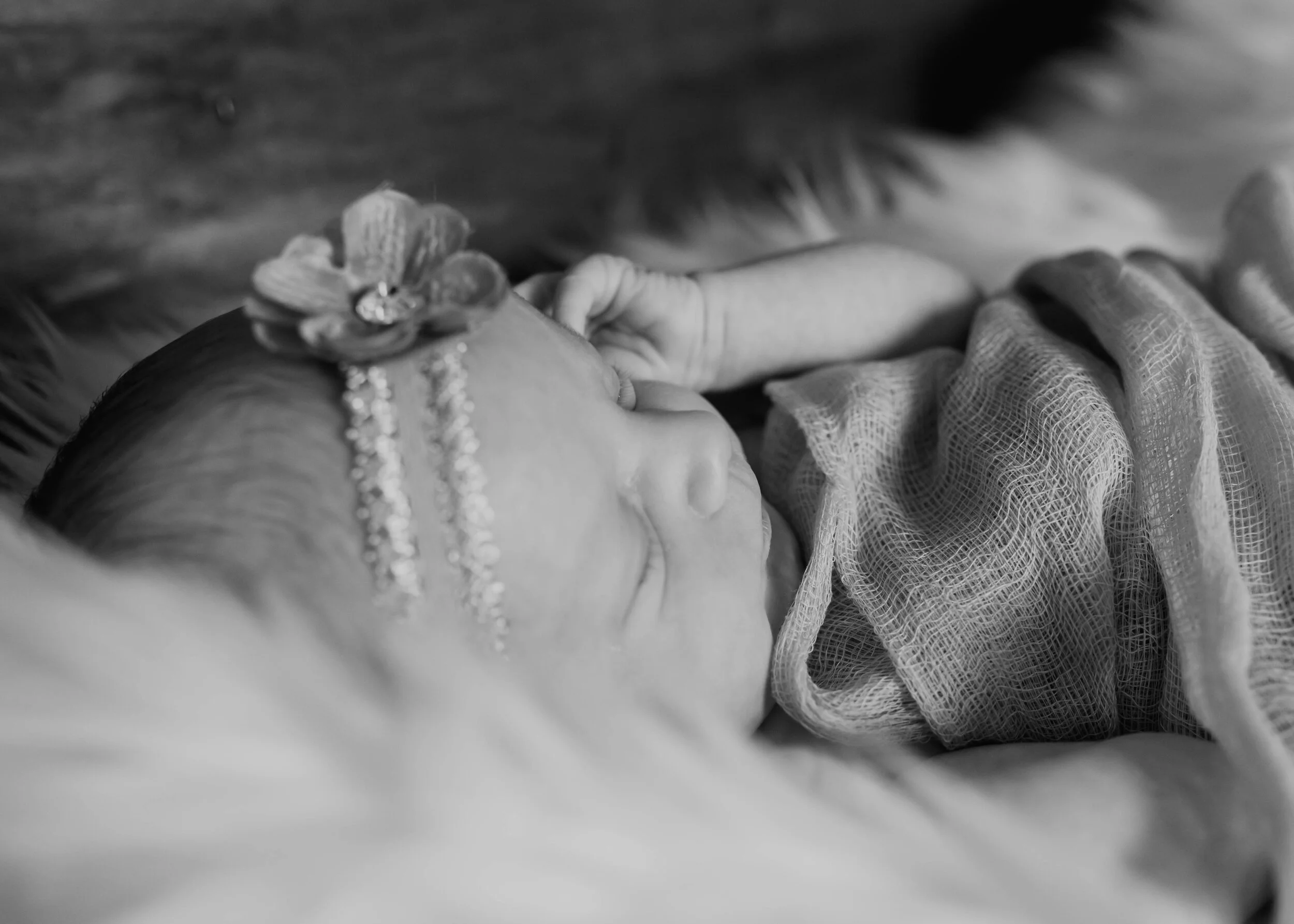 newborn (25 of 26).jpg