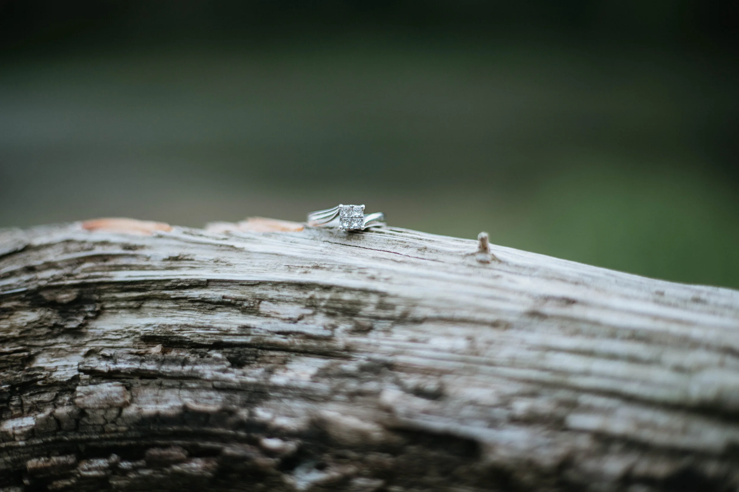 engagement (58 of 65).jpg