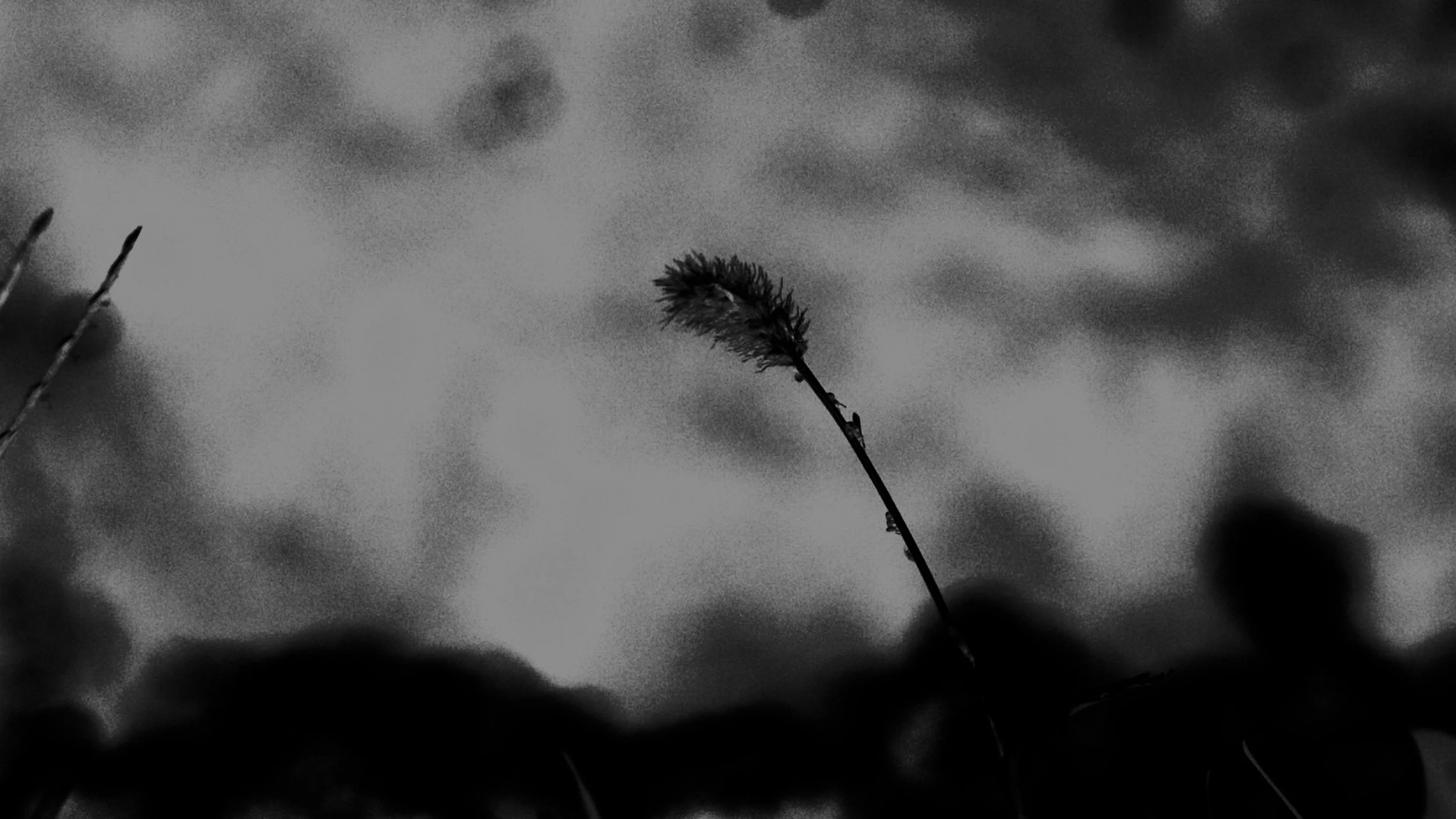 IMG_6714.jpeg