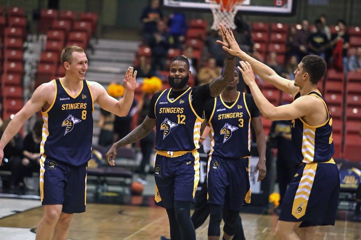 The Nighthawks Get Stung.