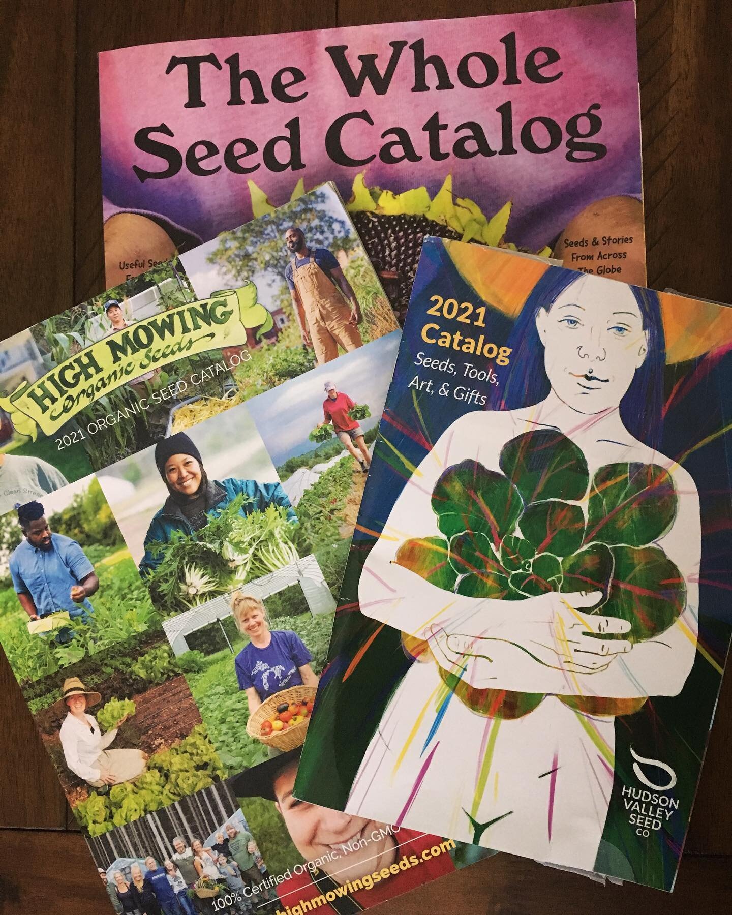 Warmer days are coming soon! While today might be snowy, cold &amp; windy, it&rsquo;s a great day to begin planning out this year&rsquo;s garden. 

We absolutely love @hudsonvalleyseedco @highmowingorganicseeds &amp; @bakercreekseeds 

These companie