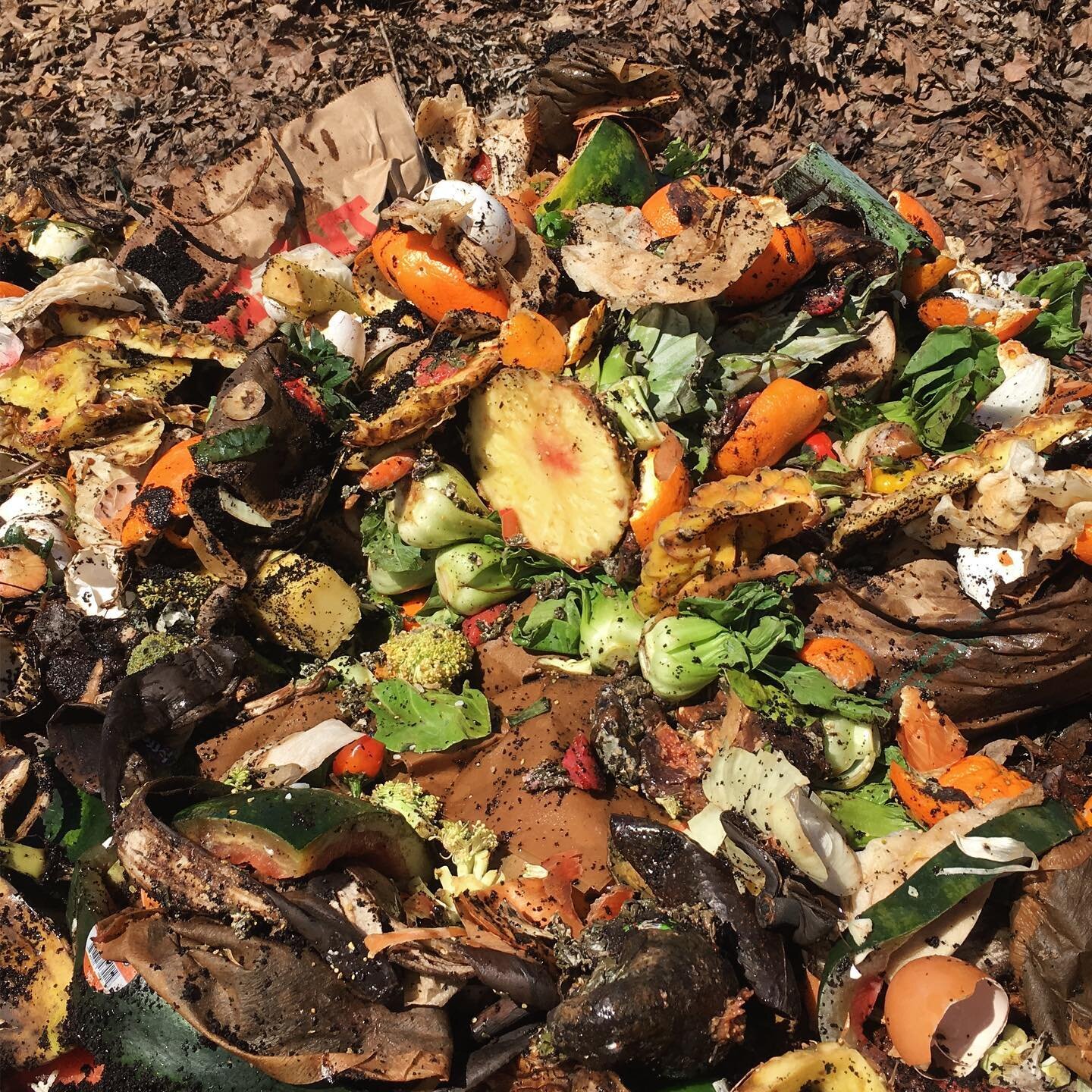 Let&rsquo;s talk about compost mindset for just a minute.

What&rsquo;s the first word that comes to mind when you see this? If you said opportunity then you&rsquo;re on the right track.

Any time you send organic material to the compost pile you&rsq
