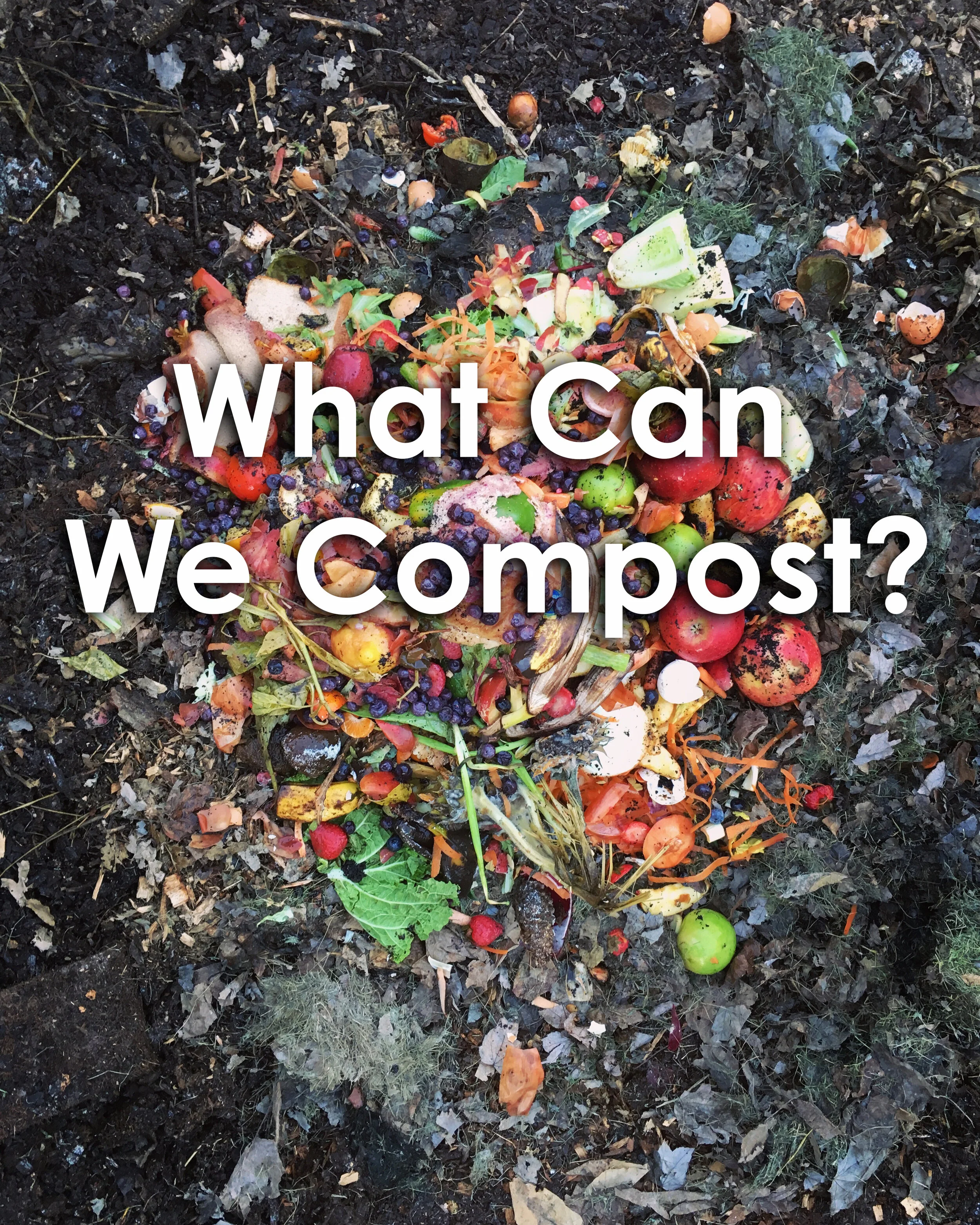 ColorfulFoodScraps_WhatCanWeCompost.jpg