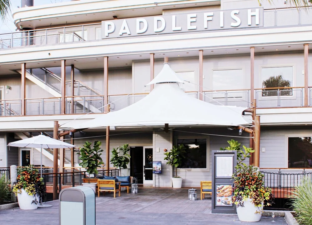 PADDLEFISH PIC USE.jpeg