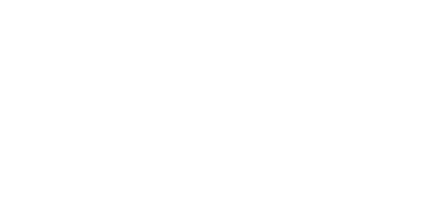 The Flauto d'Amore Project