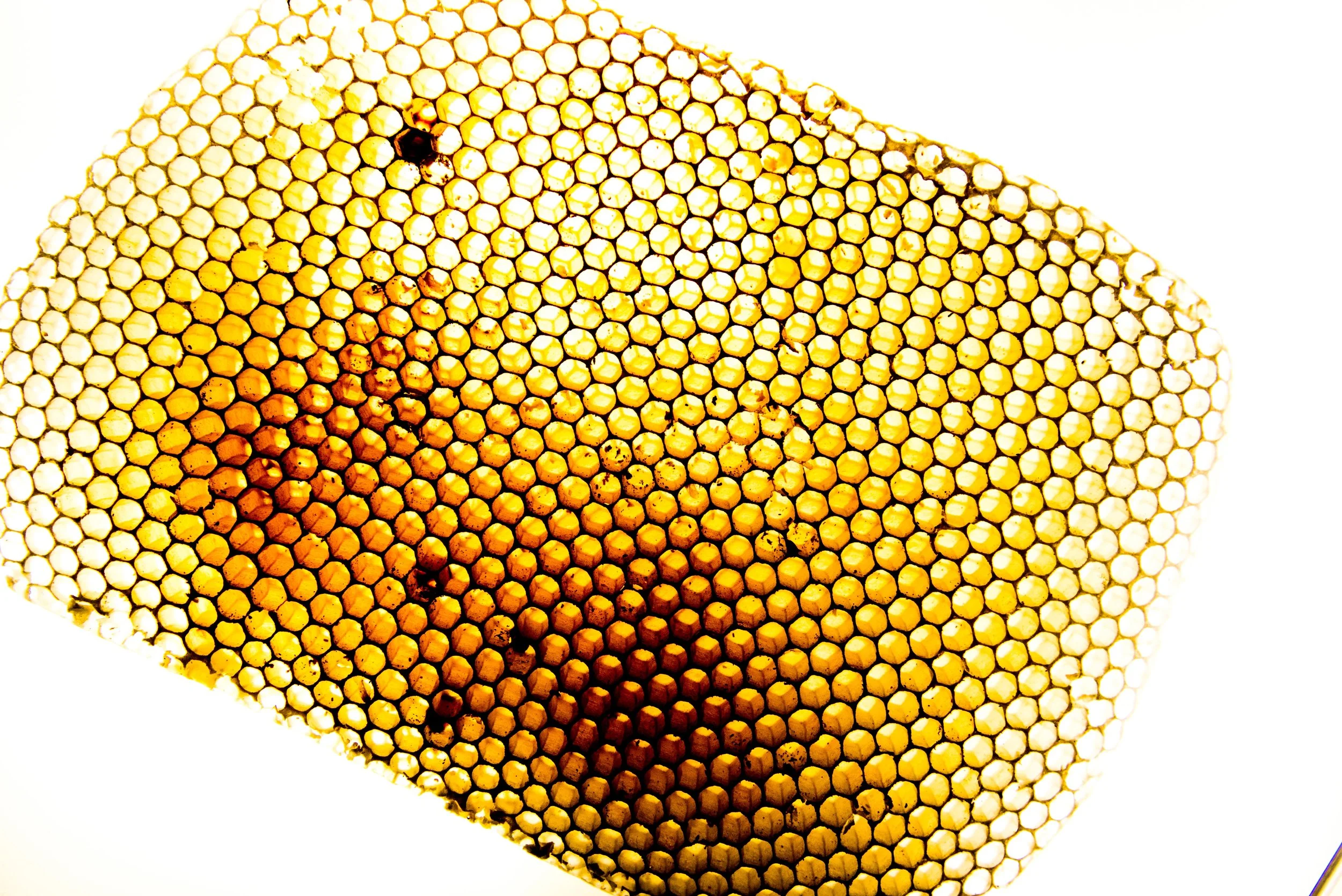 except im freazing more-7.jpg