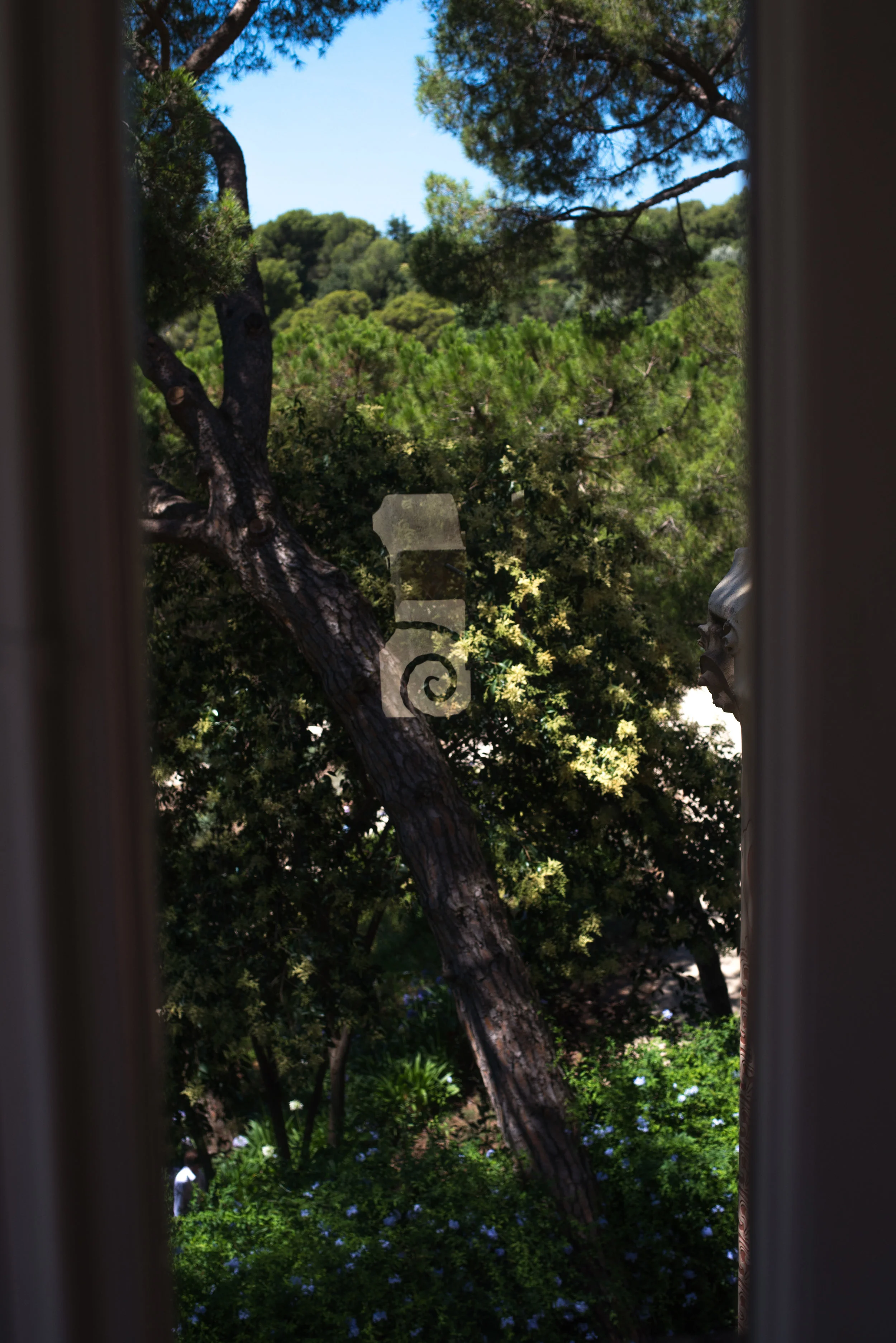 barcelona more-13.jpg