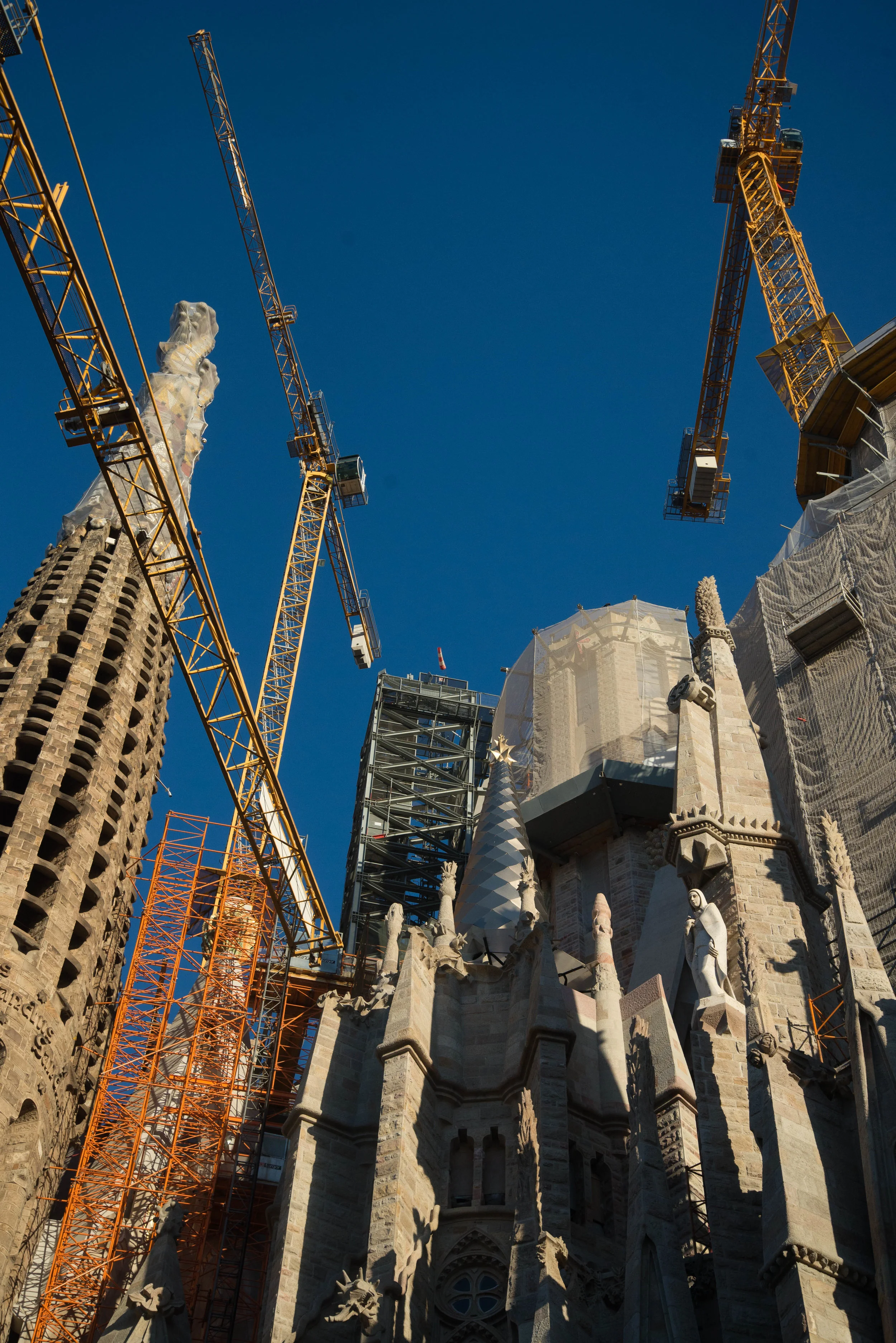 nat geo are you talking? will you please make this not a case of insanety_-89.jpg