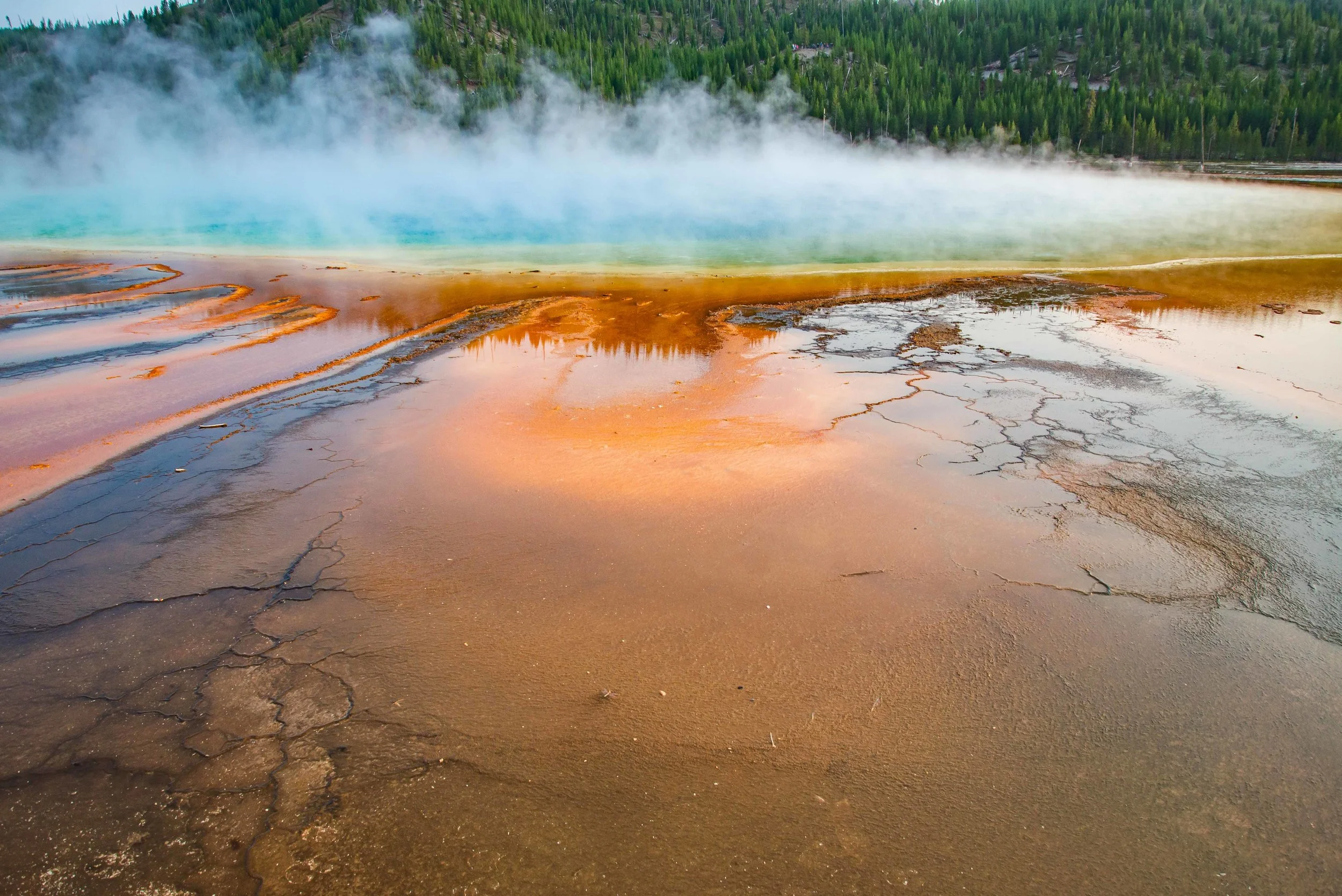 websiteYellowstone picture-4.jpg