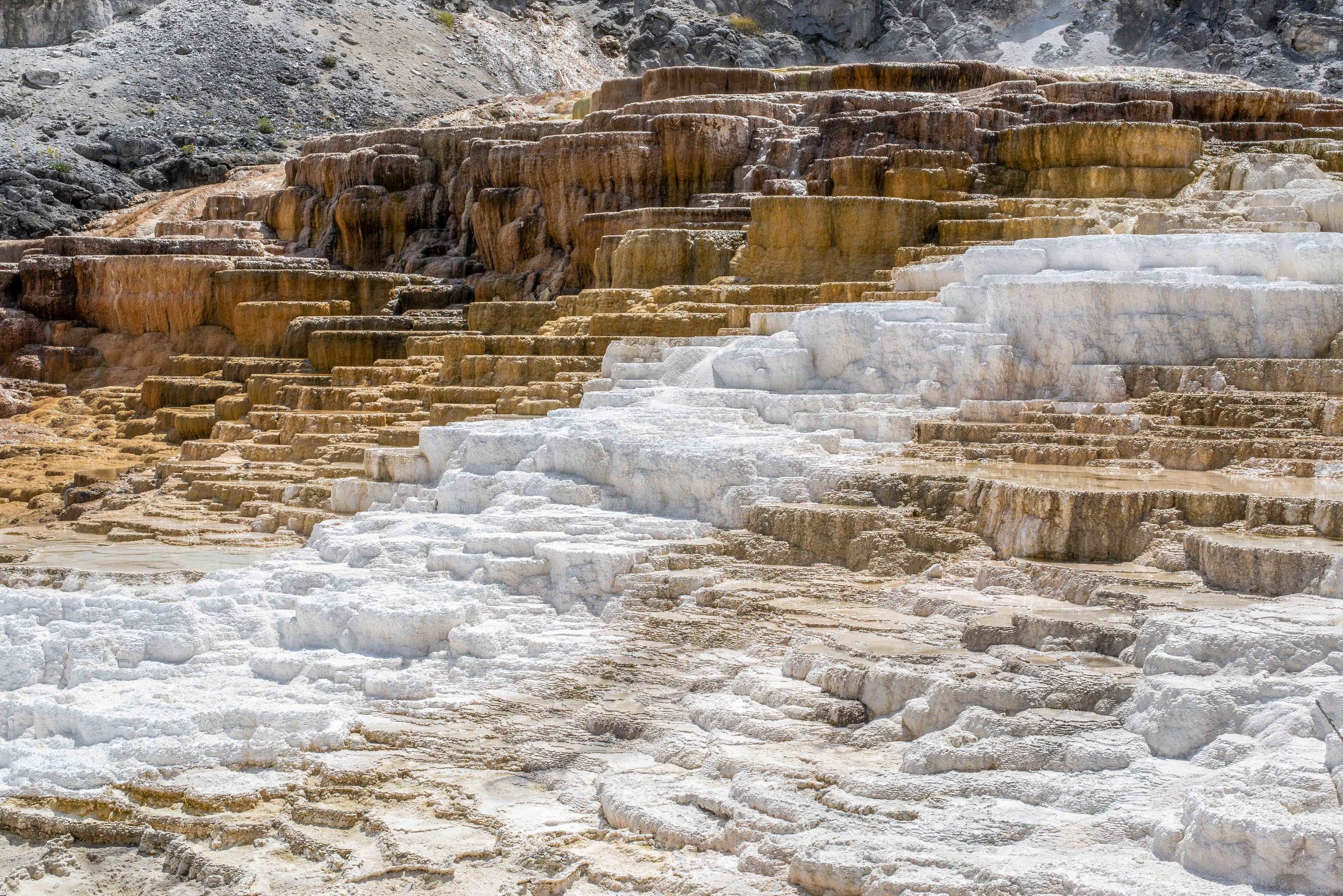 websiteYellowstone picture-2.jpg