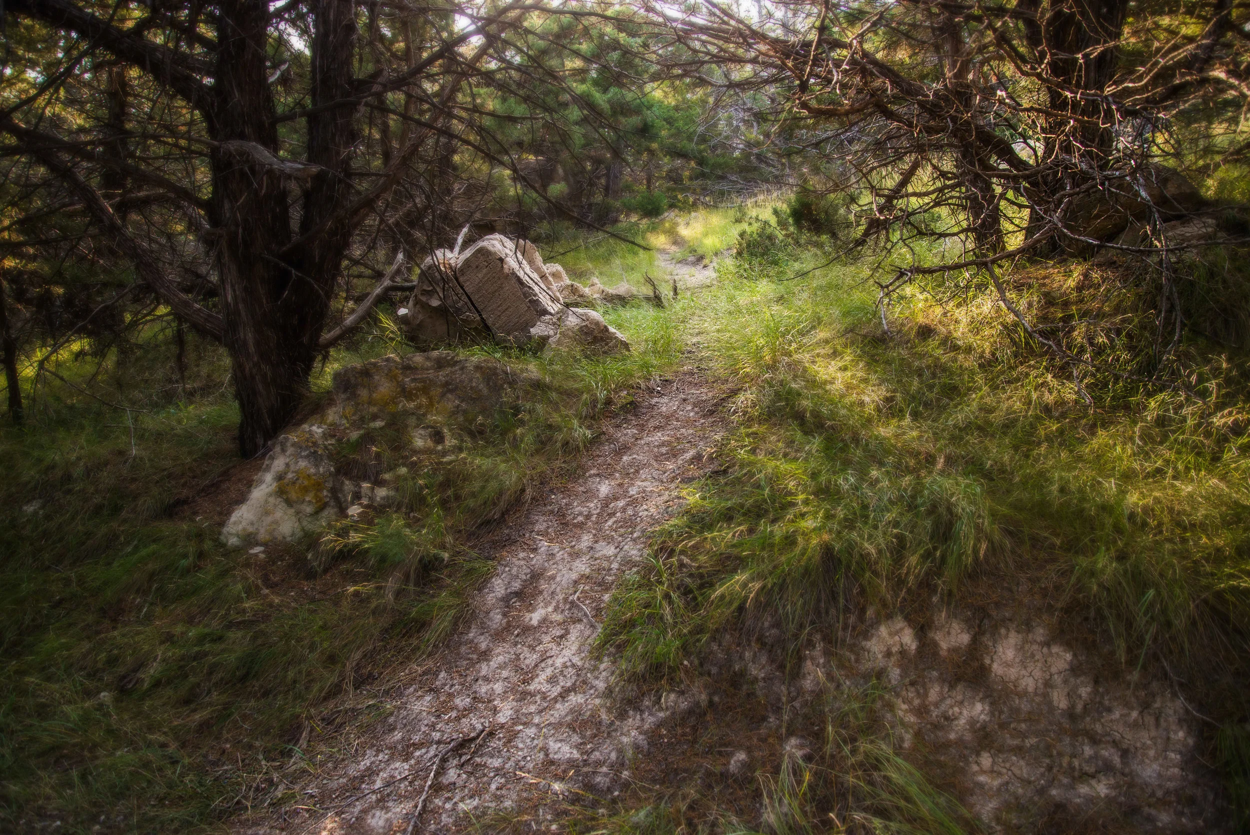 newPICTURE for gausian copy.jpg