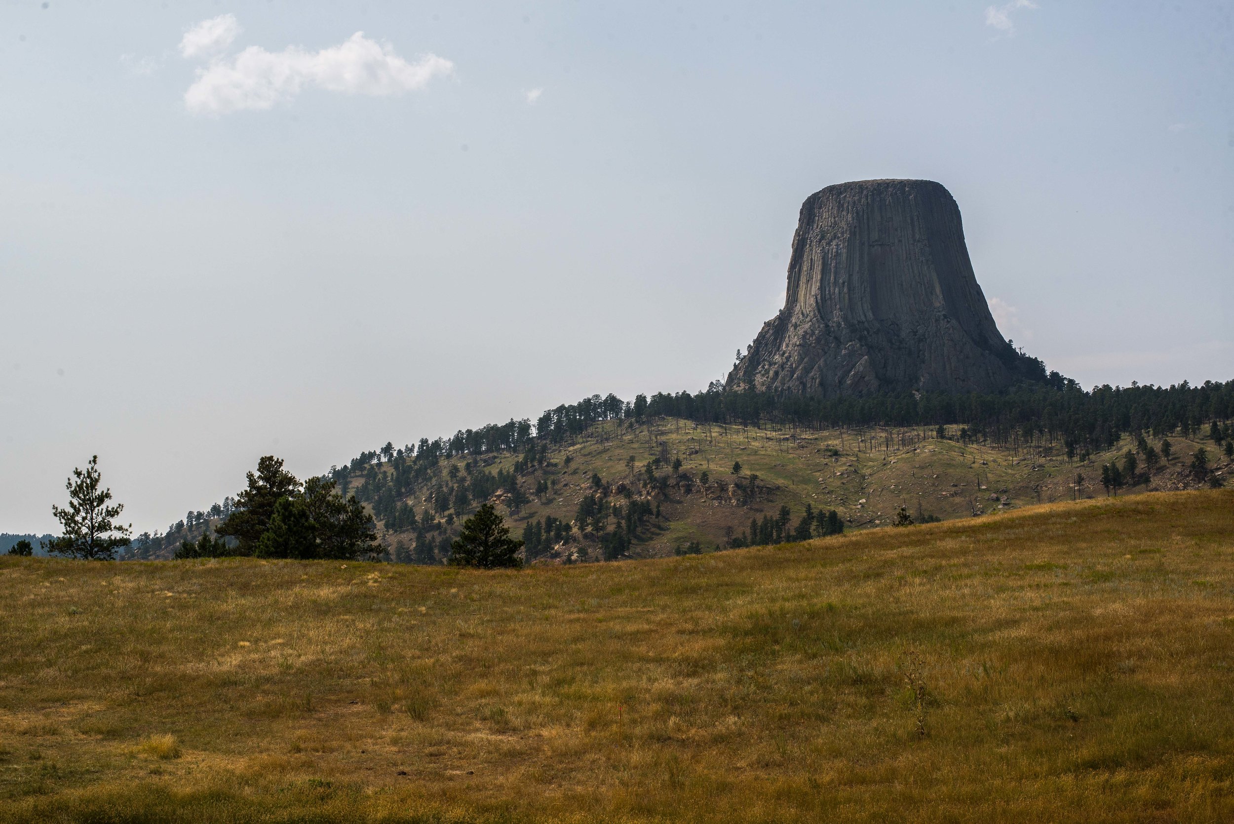 devils tower-2 copy.jpg