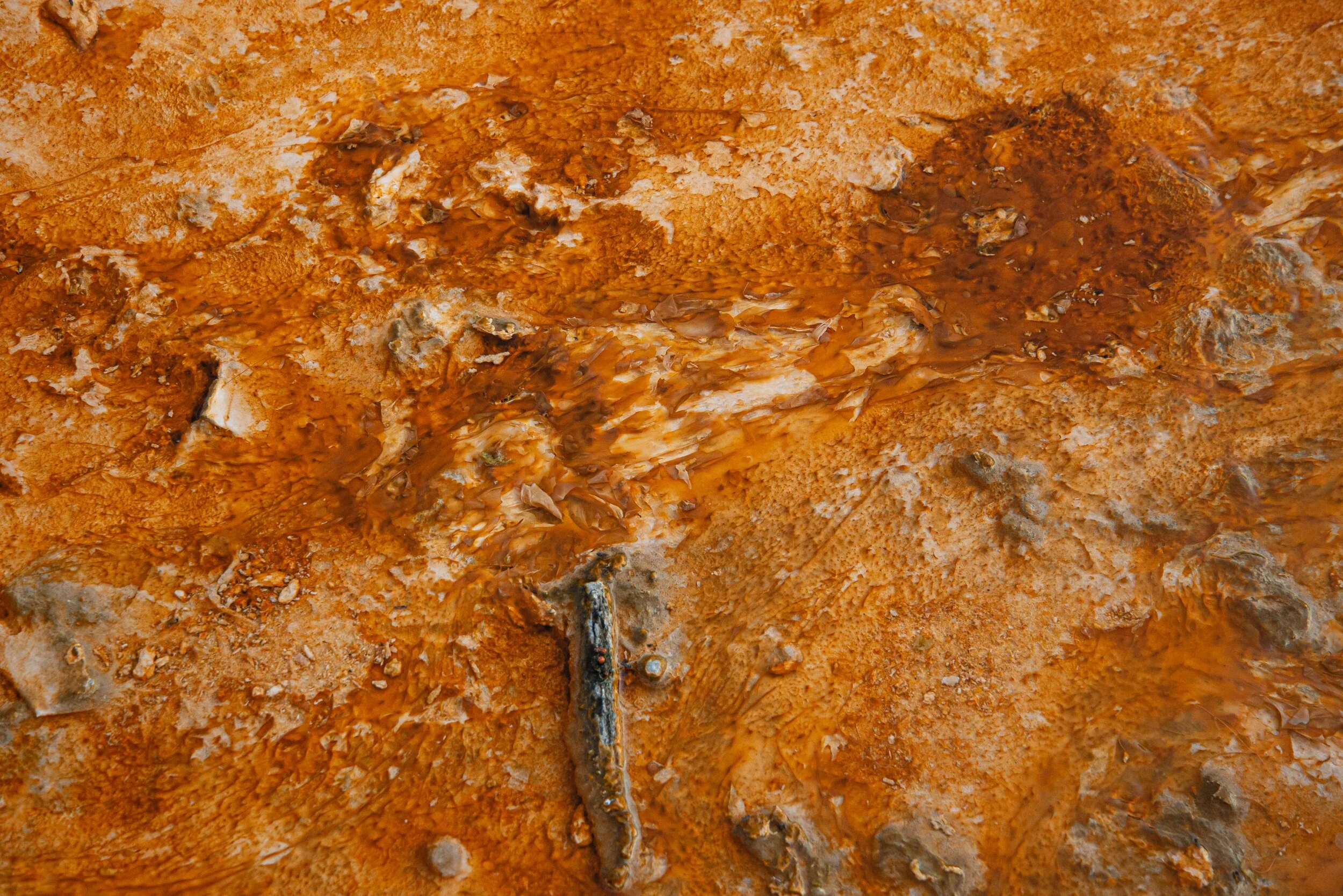 yellowstone additions-2.jpg