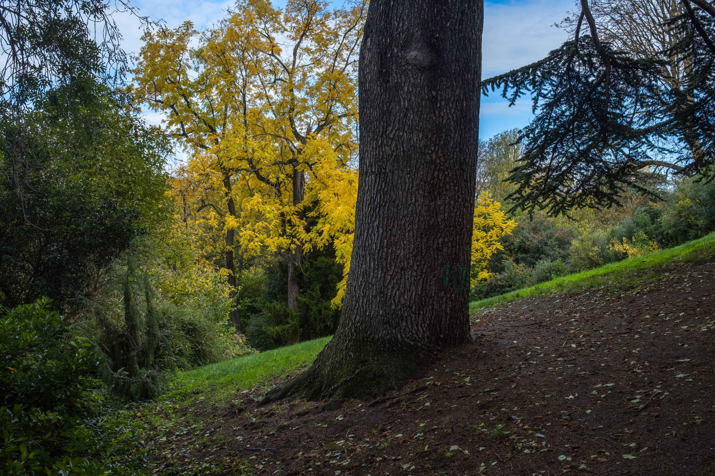 wherever you go, there you are.jpg