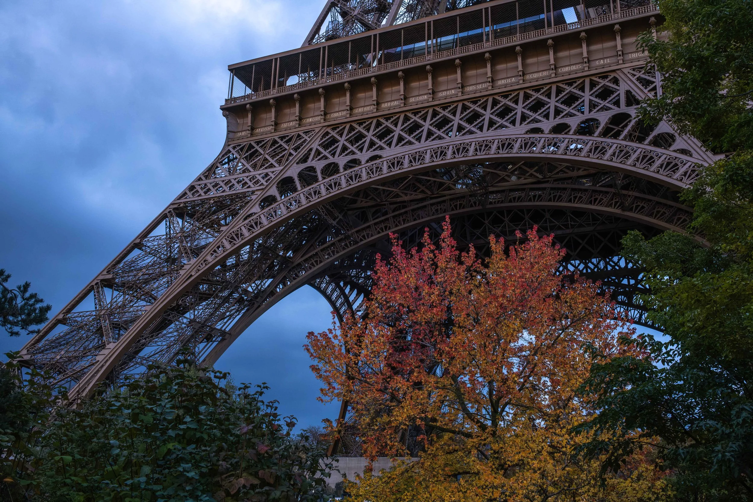 fall evening copy.jpg