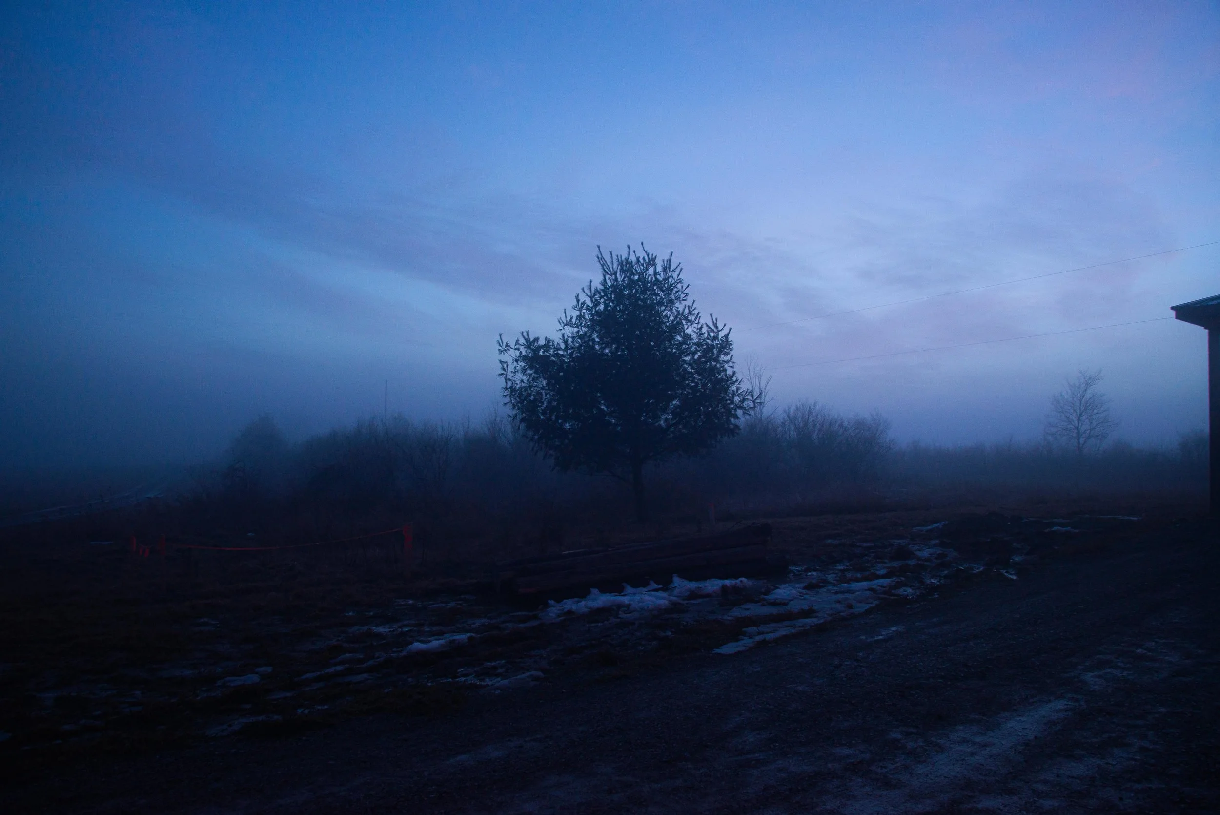 eliza's fog-23 copy.jpg