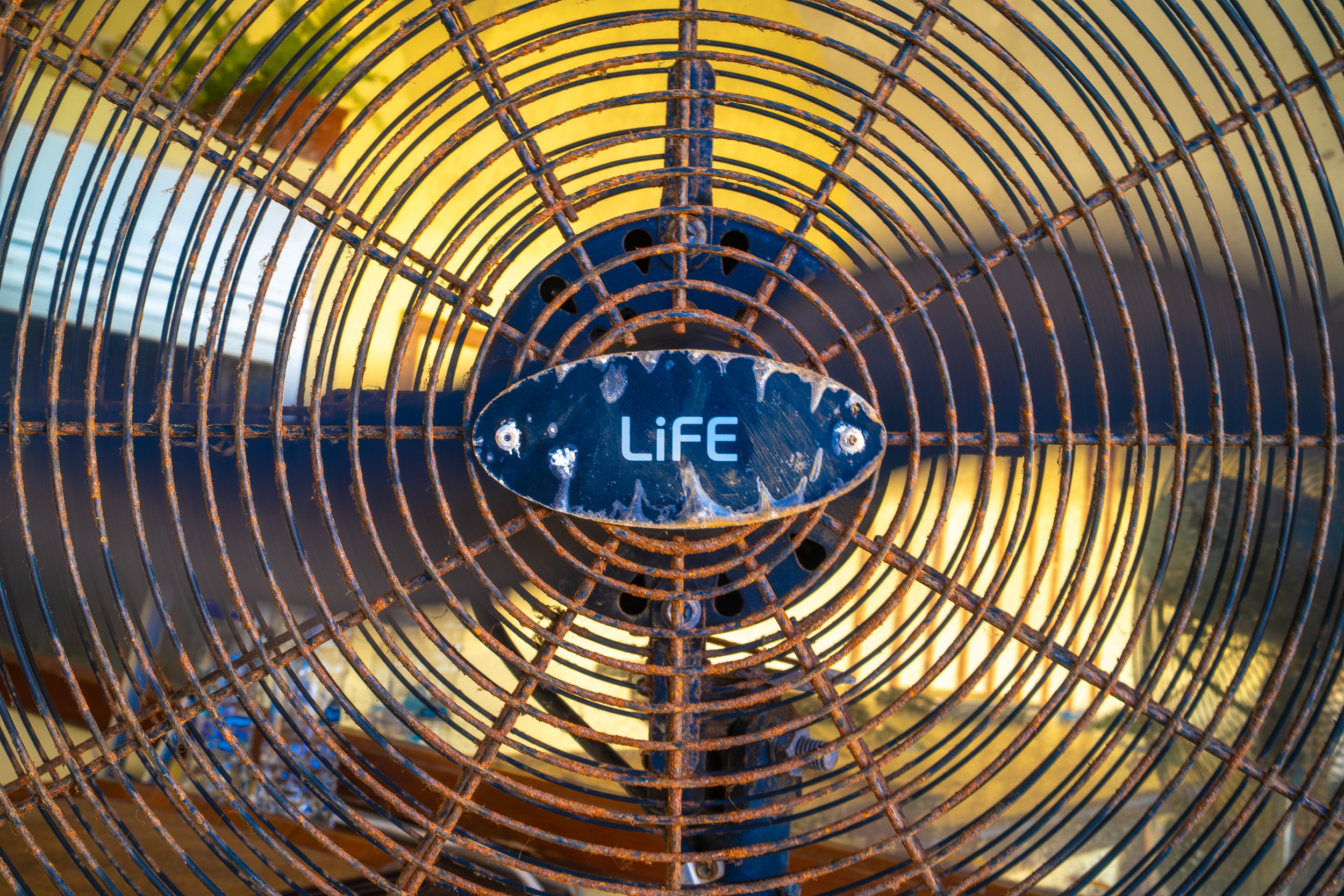 life cal-1.jpg