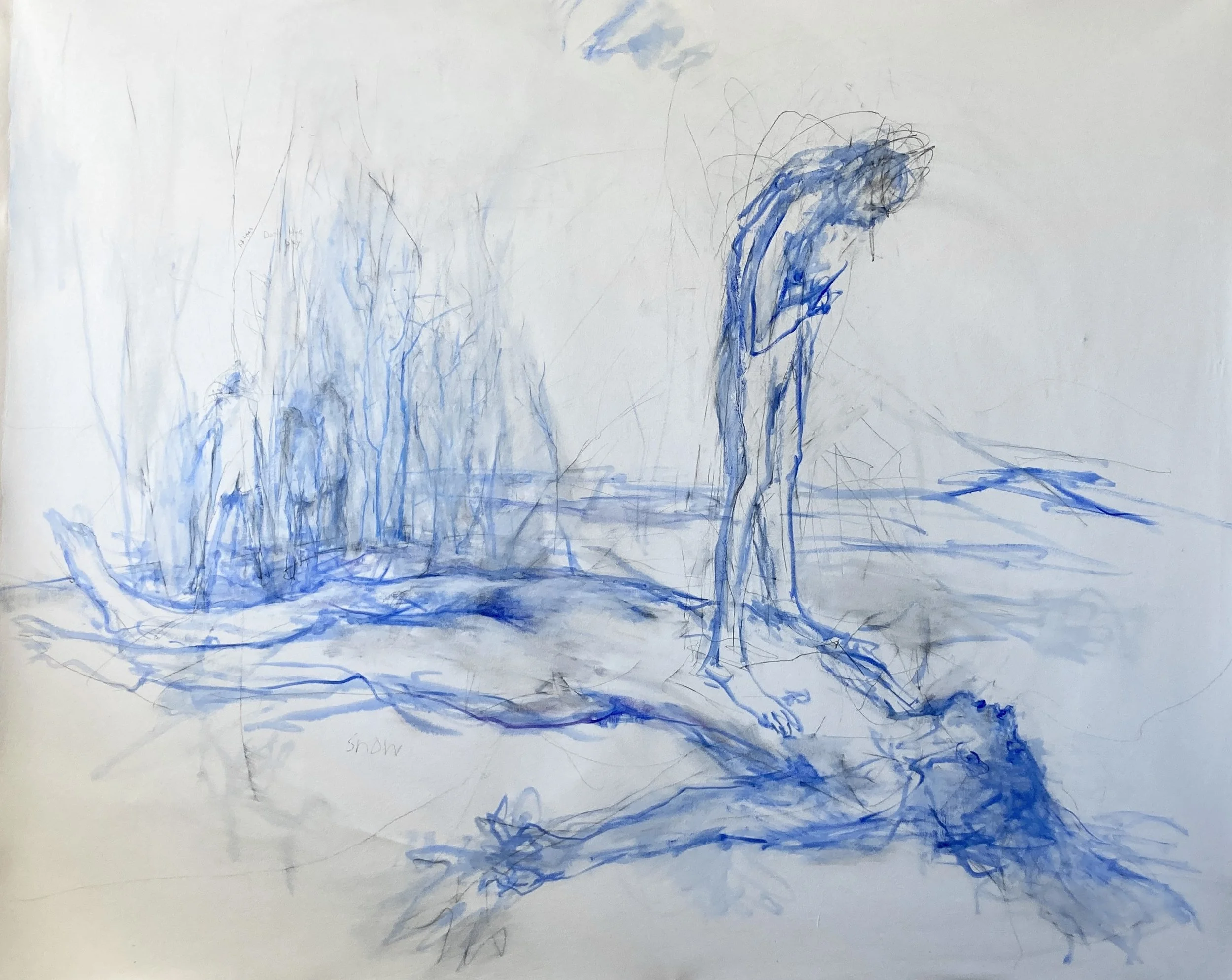 2026 | oil on canvas | 54 x 68 in