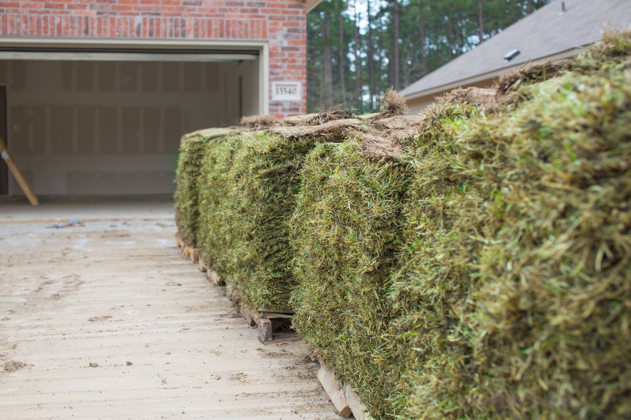   Sod Sales &amp; Installation   Where the Grass is Always Greener   Get a Free Estimate  