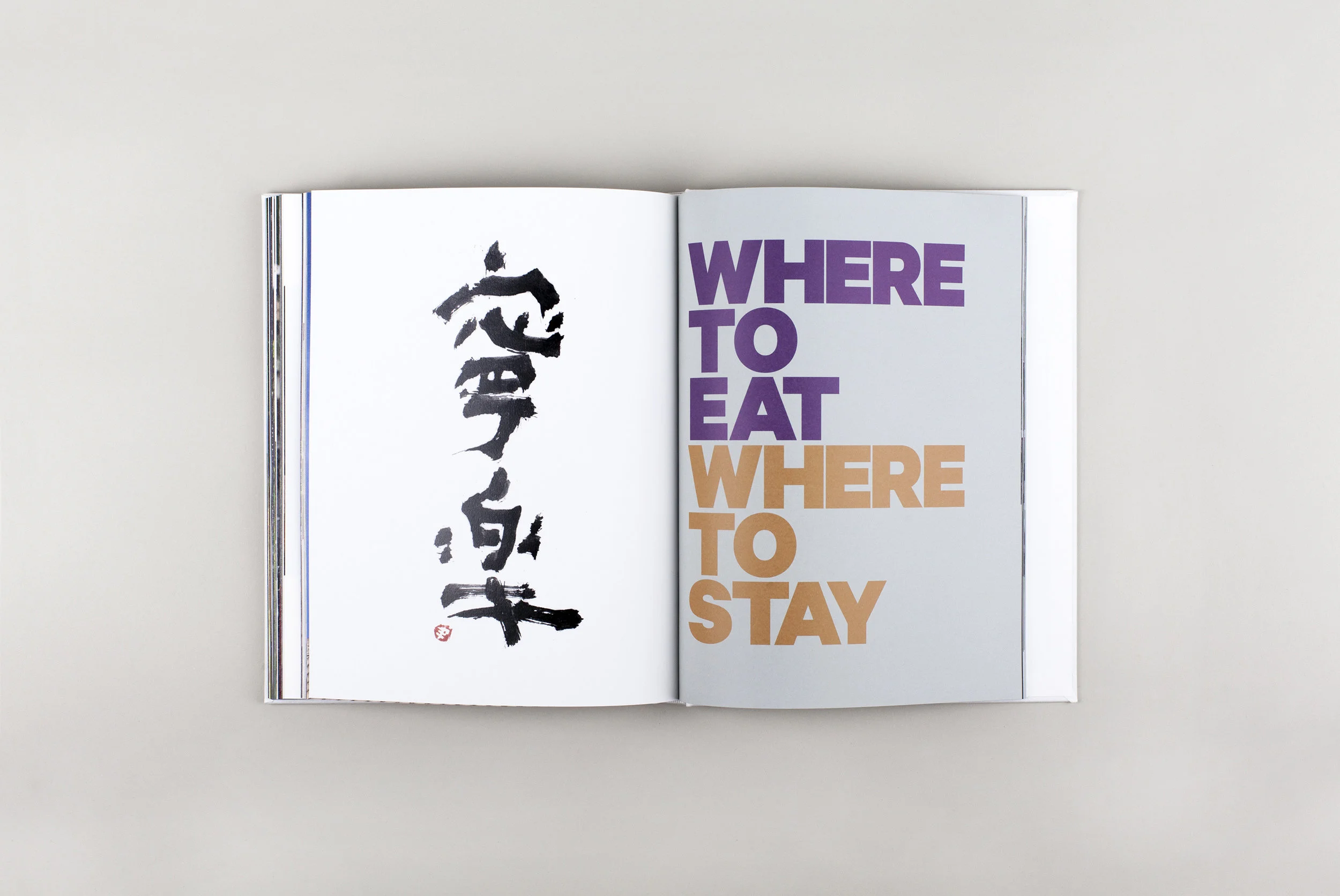 Nara_Book_30_Sm.jpg